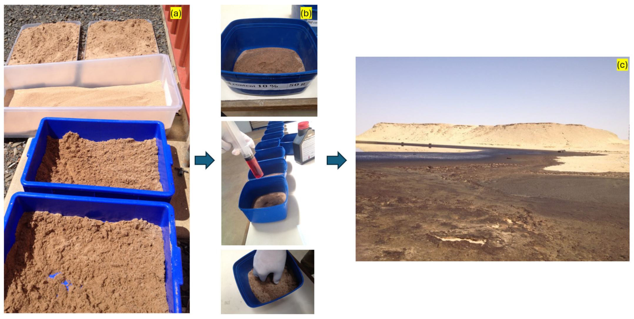 Sustainability 16 07344 g003