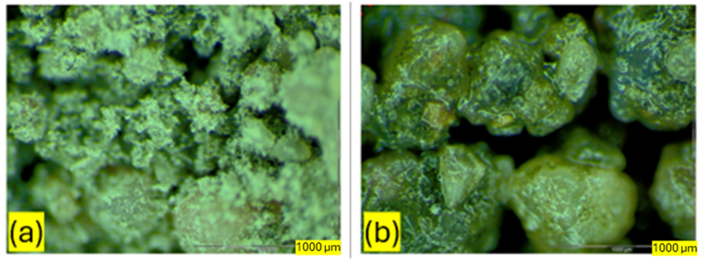 Sustainability 16 07344 g012