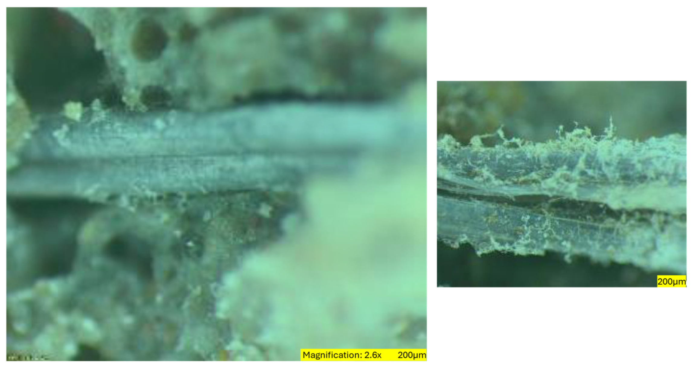 Sustainability 16 07344 g020