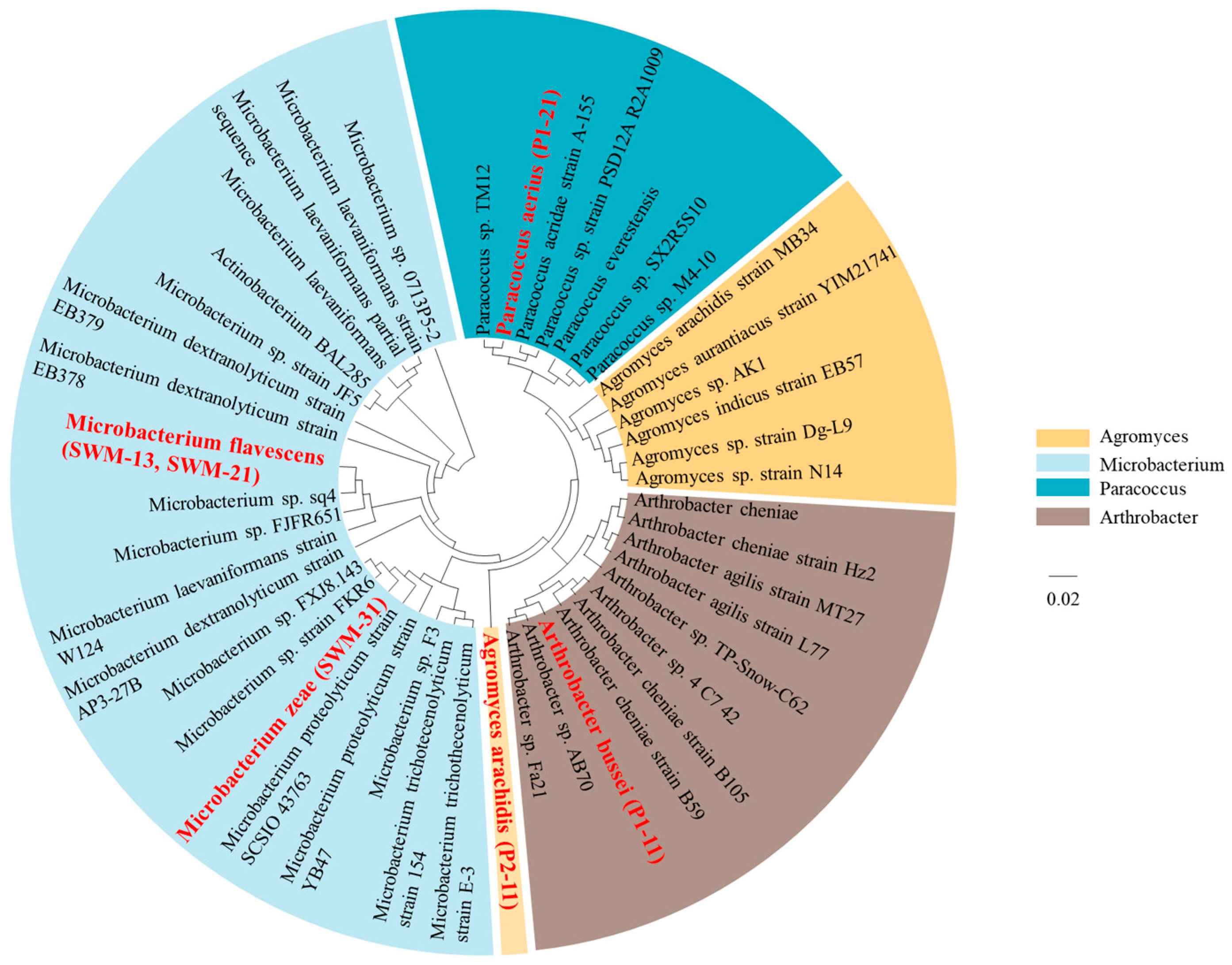 Sustainability 16 07357 g0a3