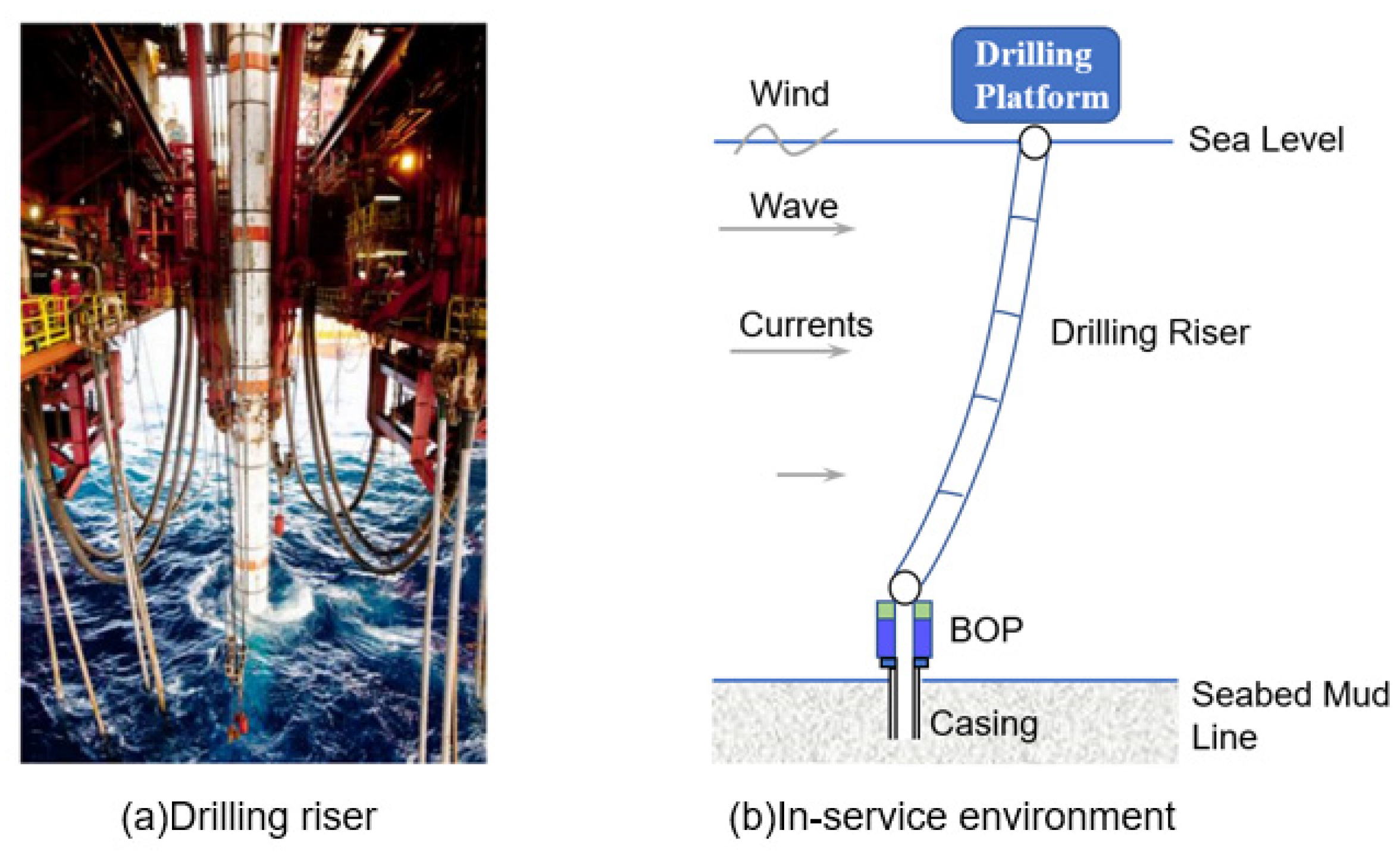 Sustainability 16 07389 g001