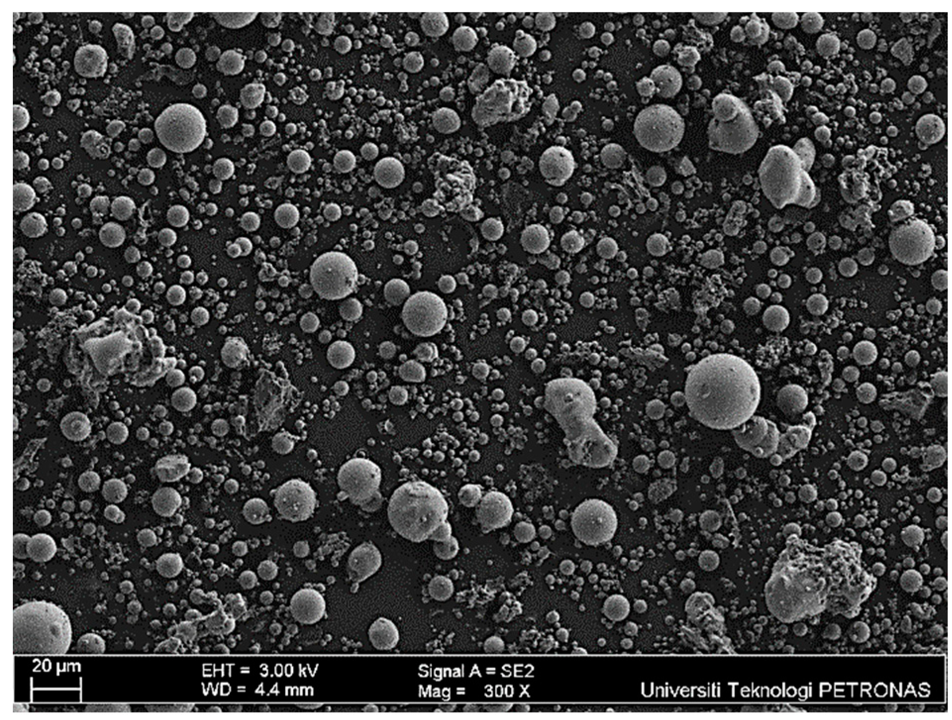 Sustainability 16 07455 g001