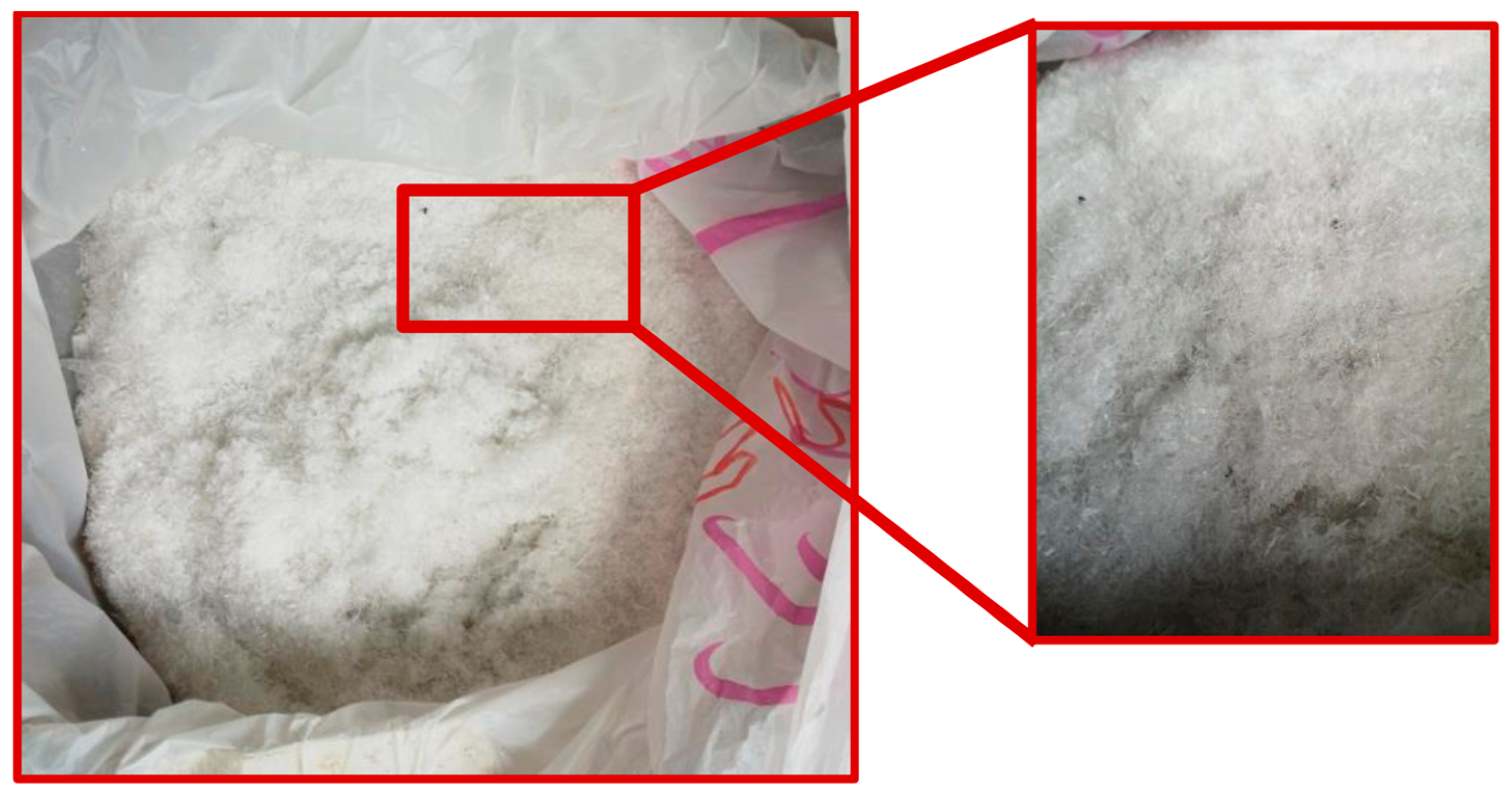 Sustainability 16 07455 g002