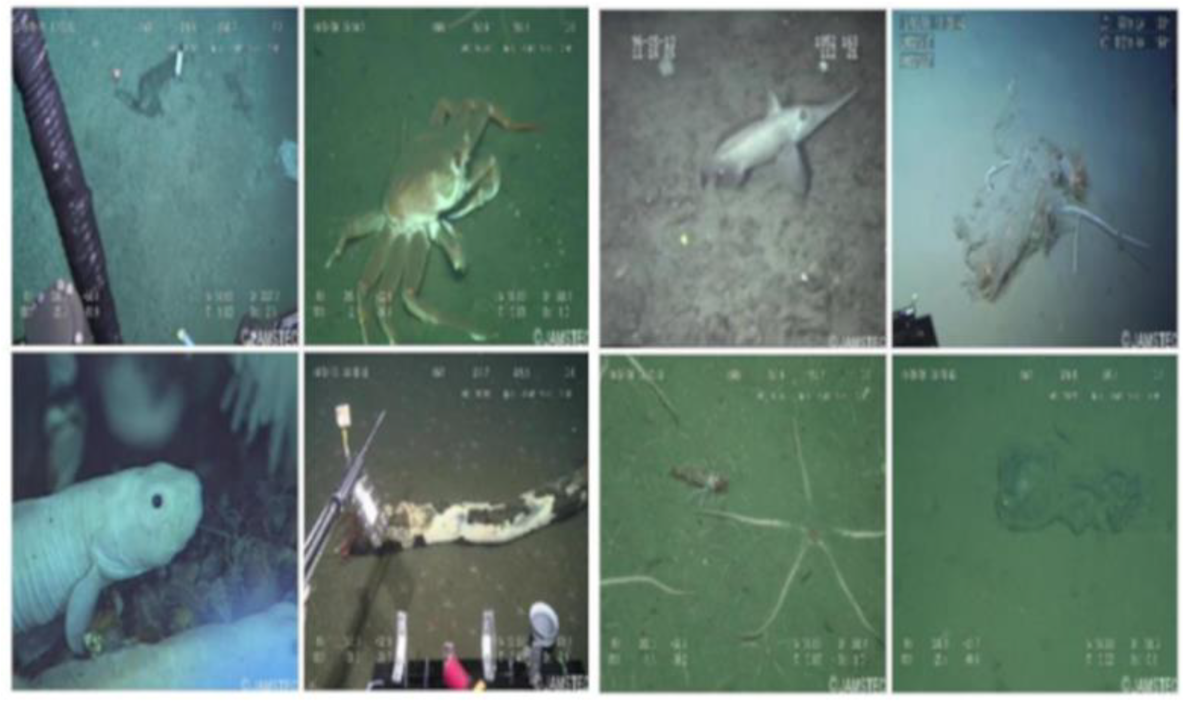 Sustainability 16 07488 g002