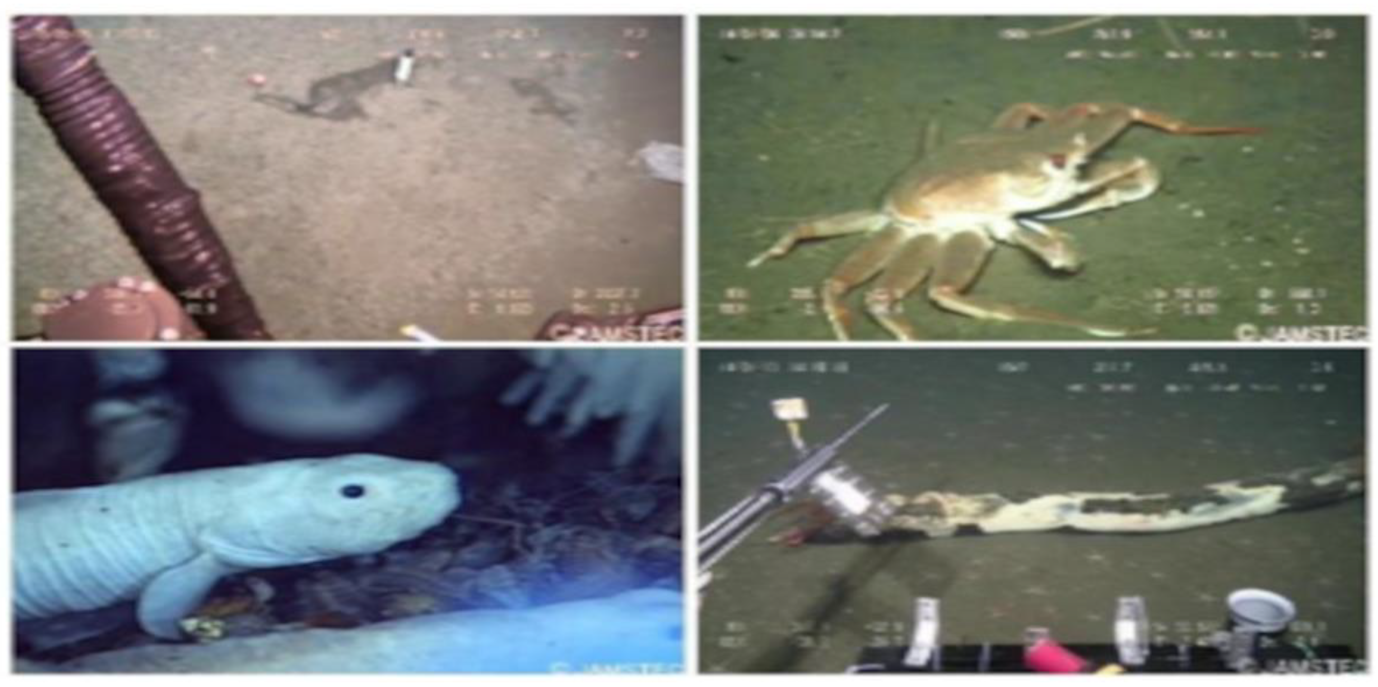 Sustainability 16 07488 g005