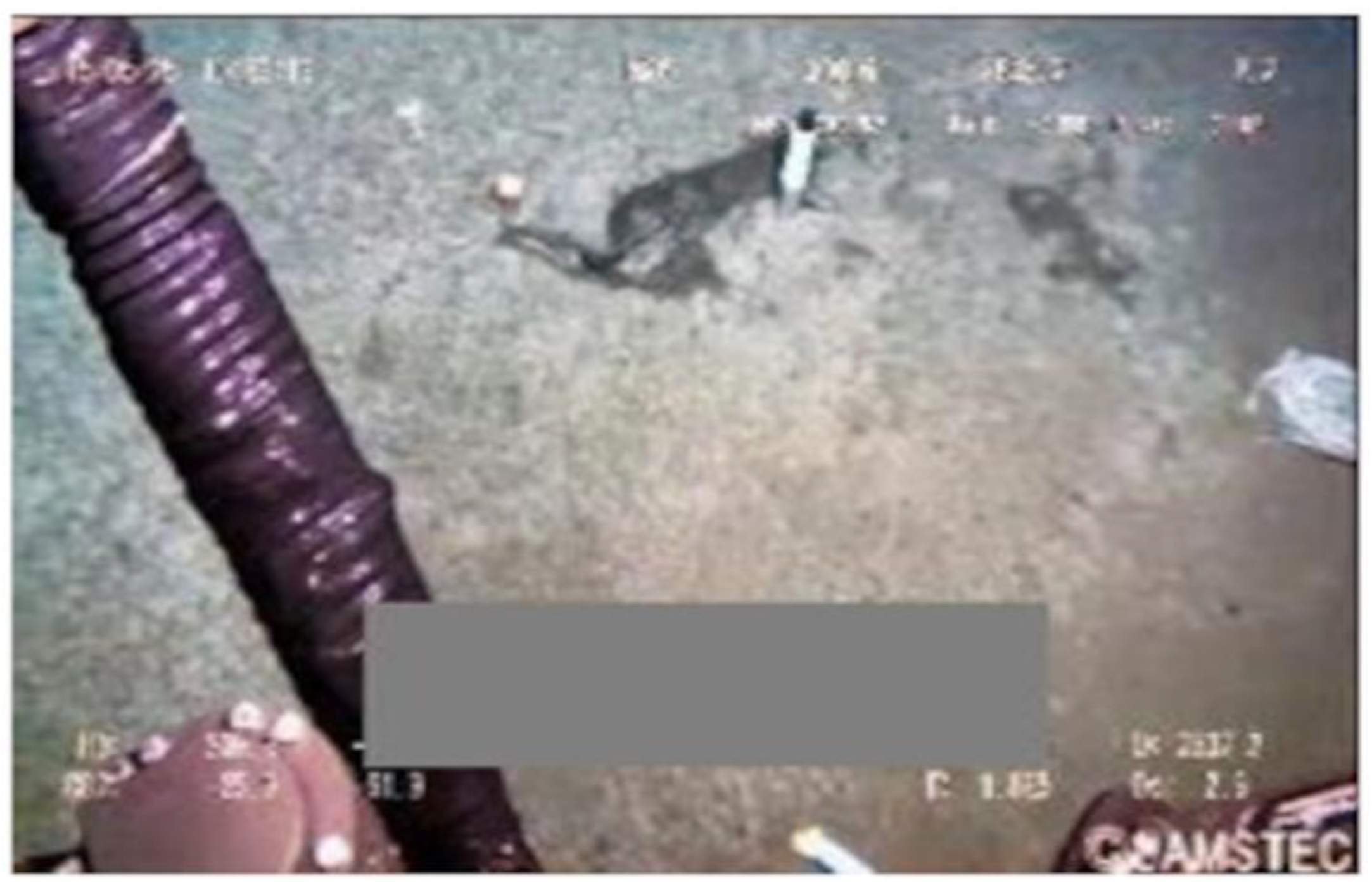 Sustainability 16 07488 g010