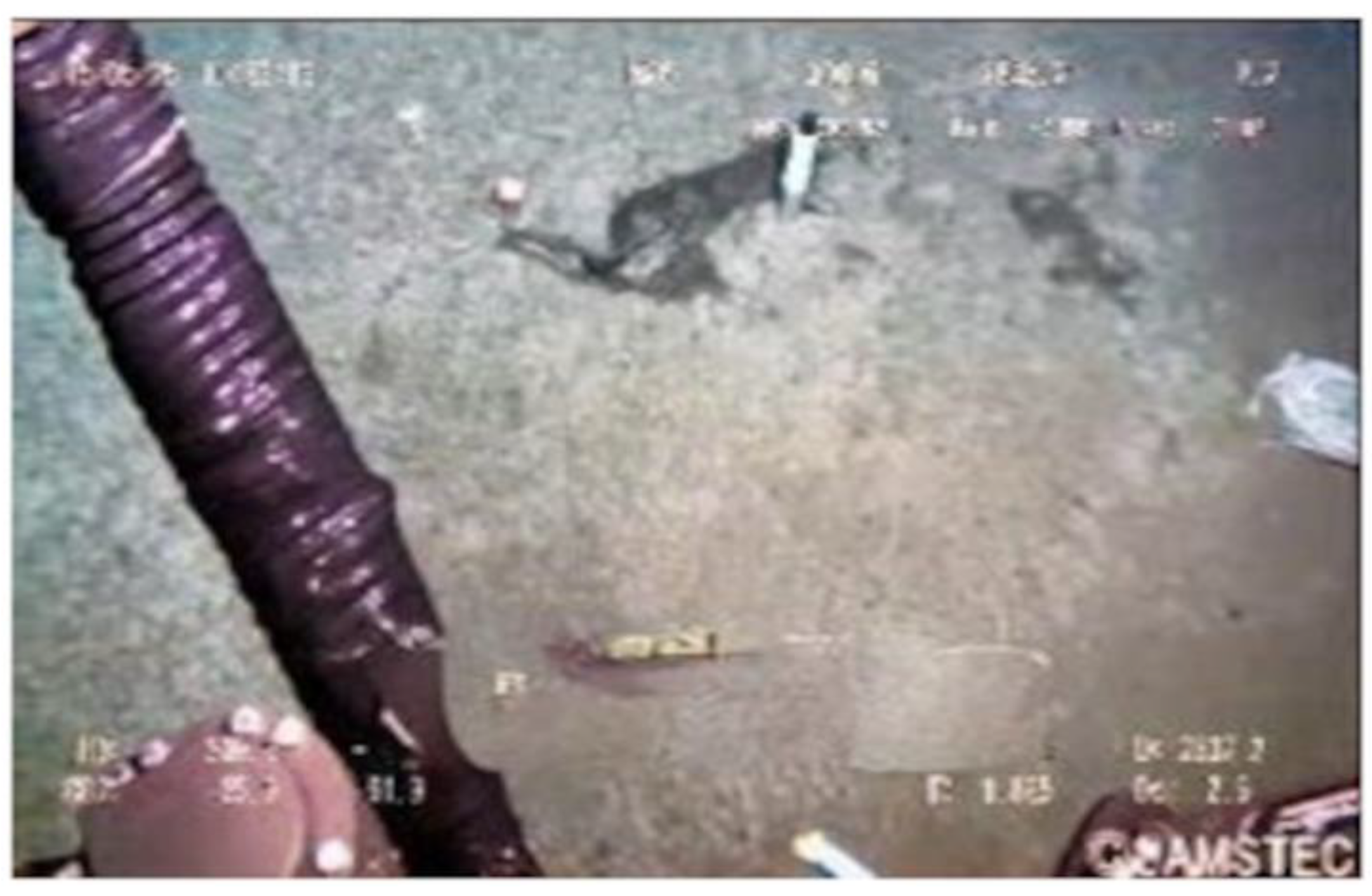 Sustainability 16 07488 g011