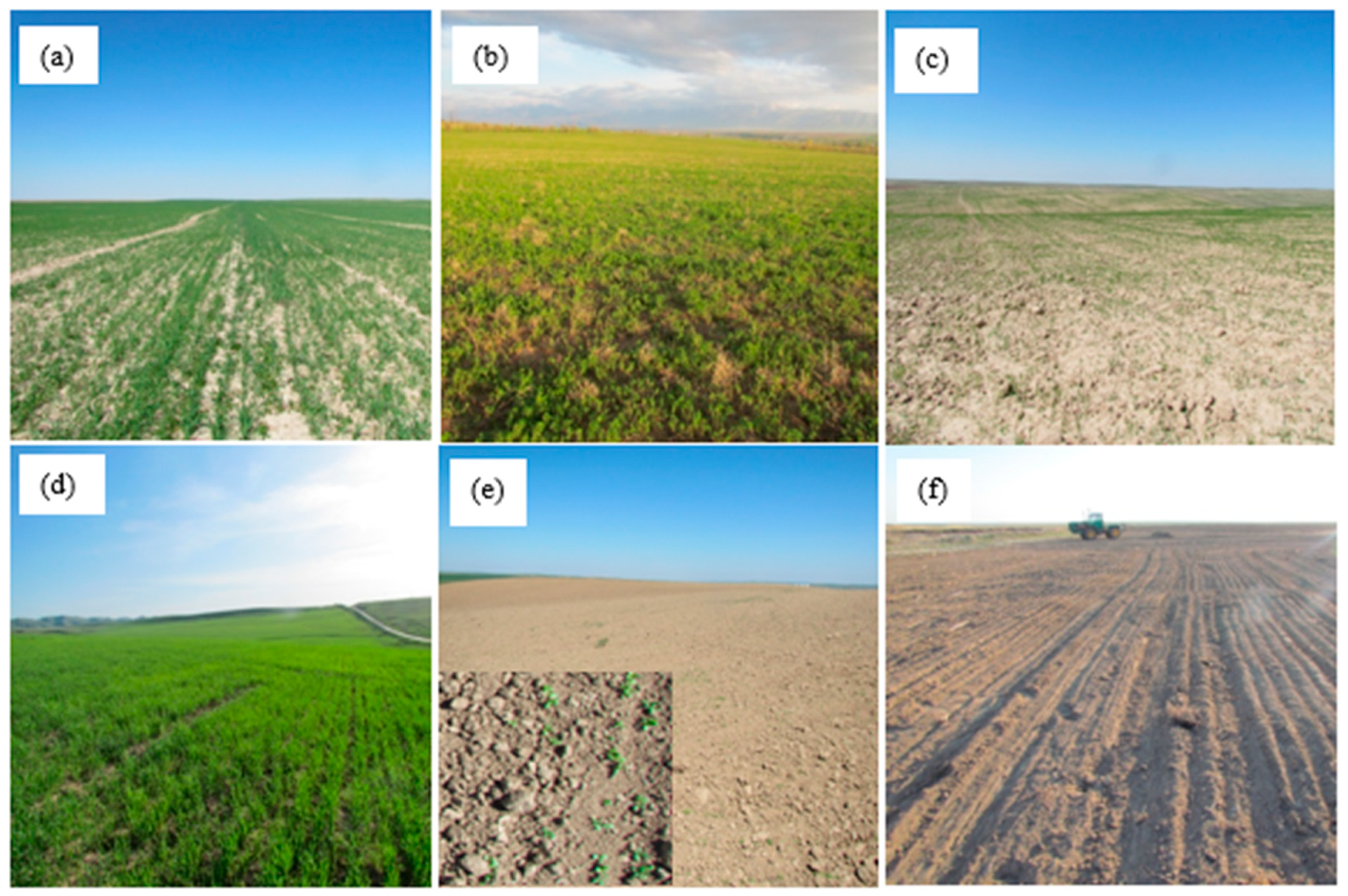 Sustainability 16 07548 g005