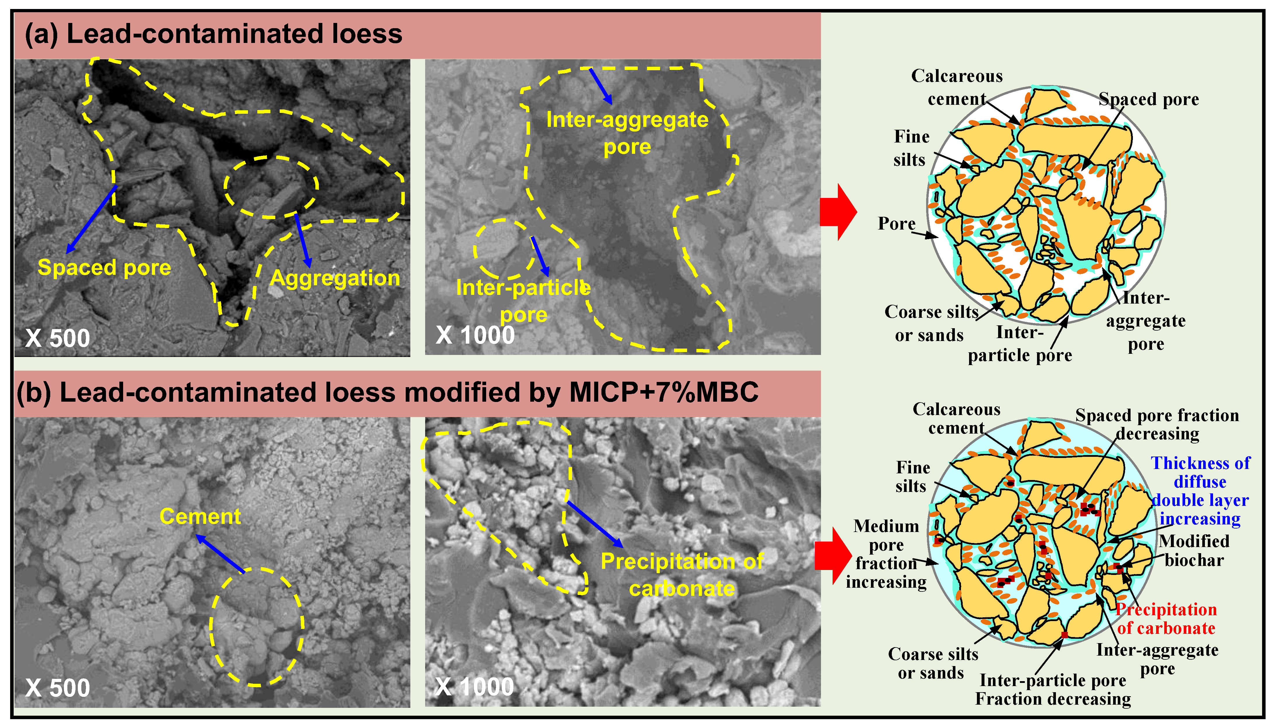 Sustainability 16 07550 g012