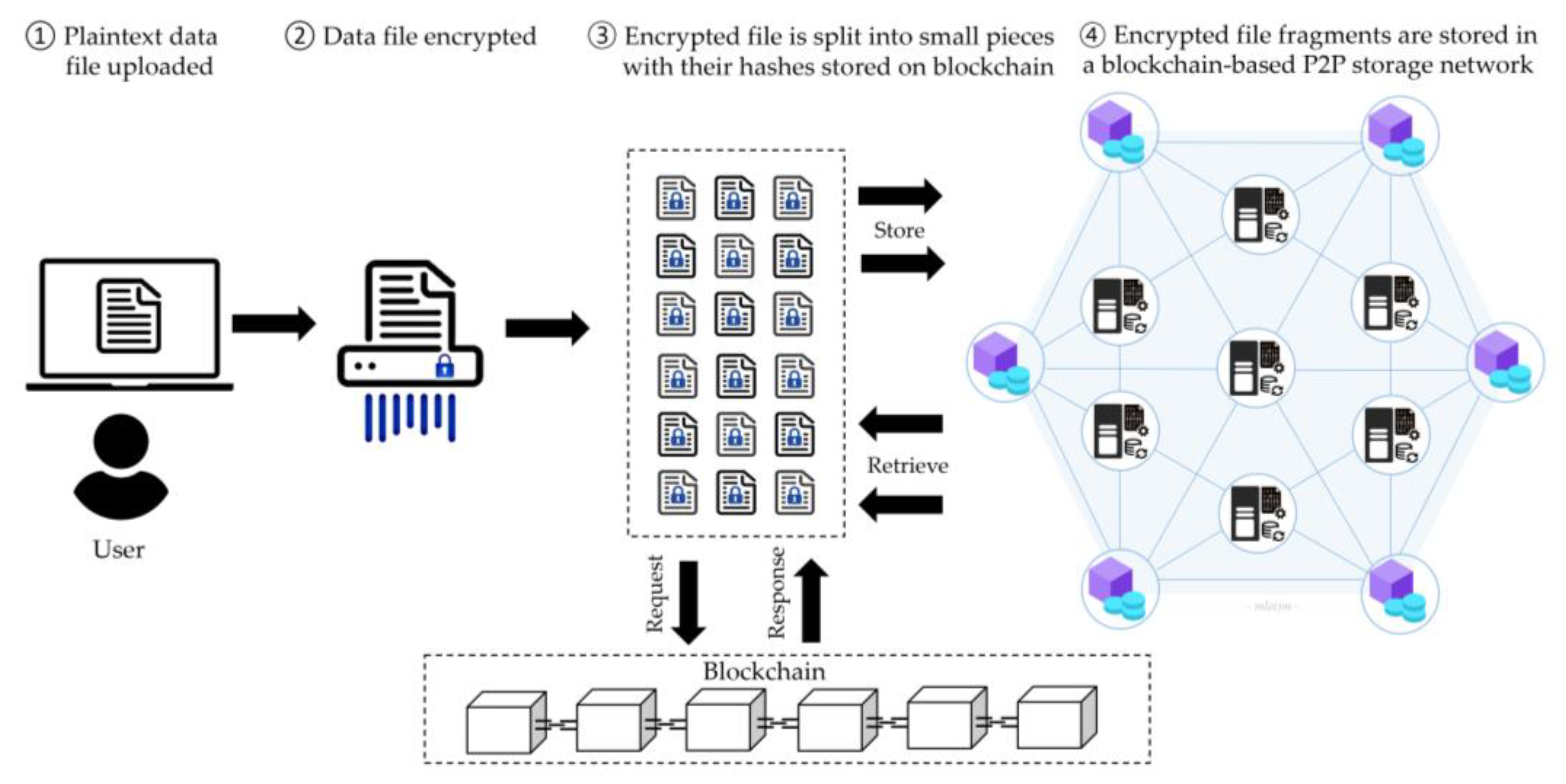 Sustainability 16 07671 g006