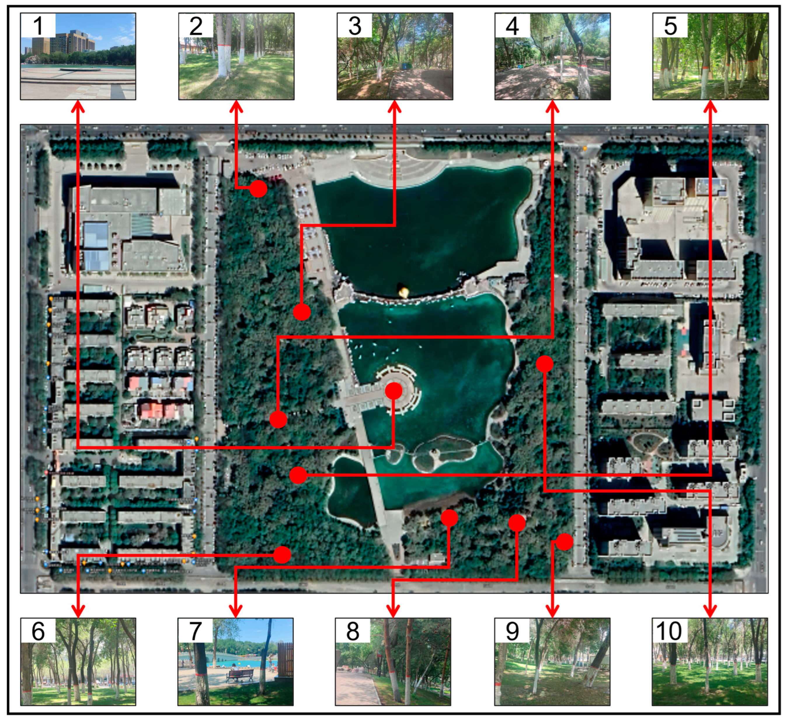 Sustainability 16 07687 g002
