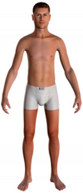 Sustainability 16 07757 i020