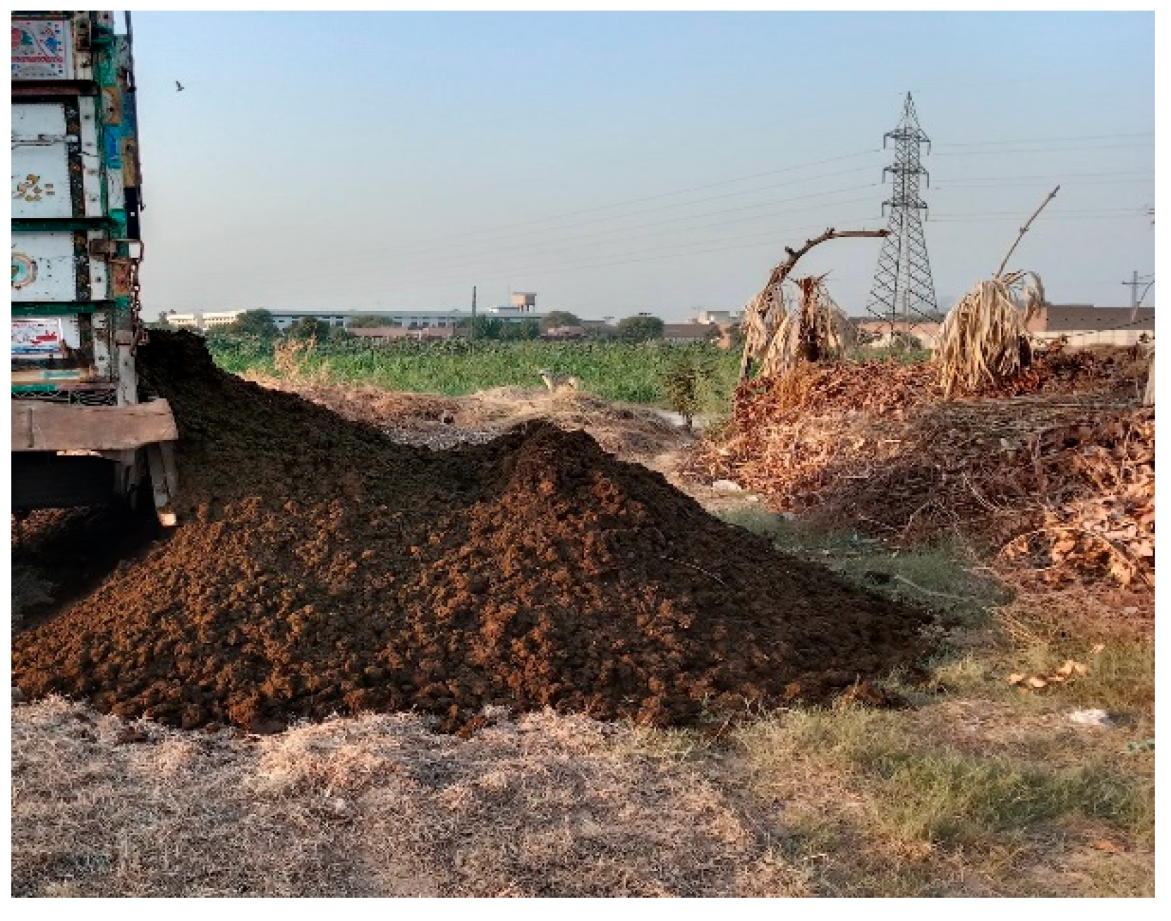 Sustainability 16 07779 g005