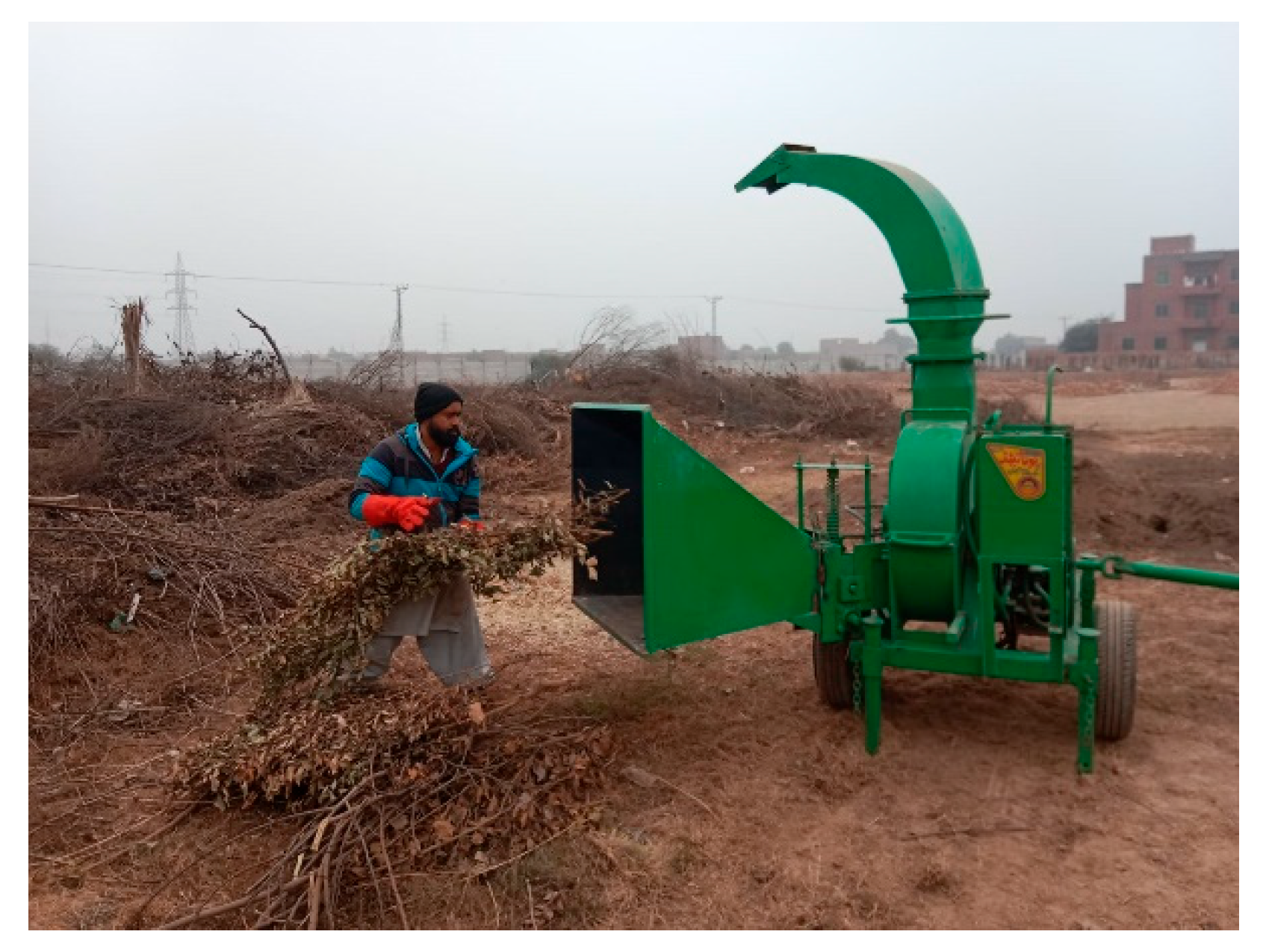 Sustainability 16 07779 g006