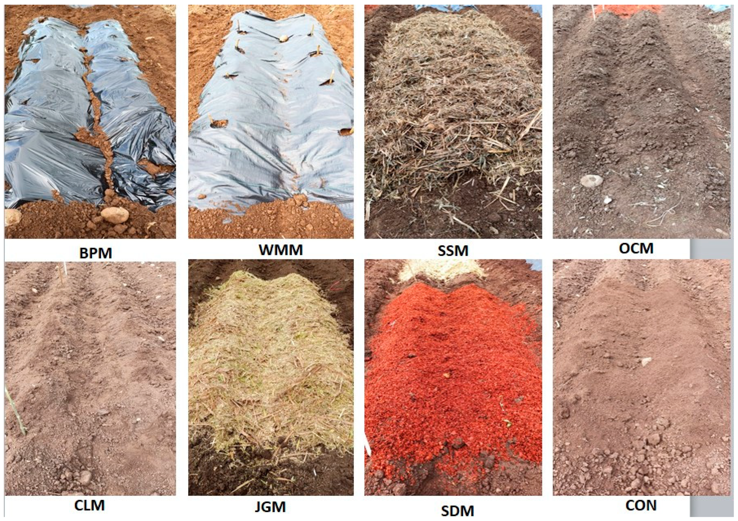 Sustainability 16 07787 g003