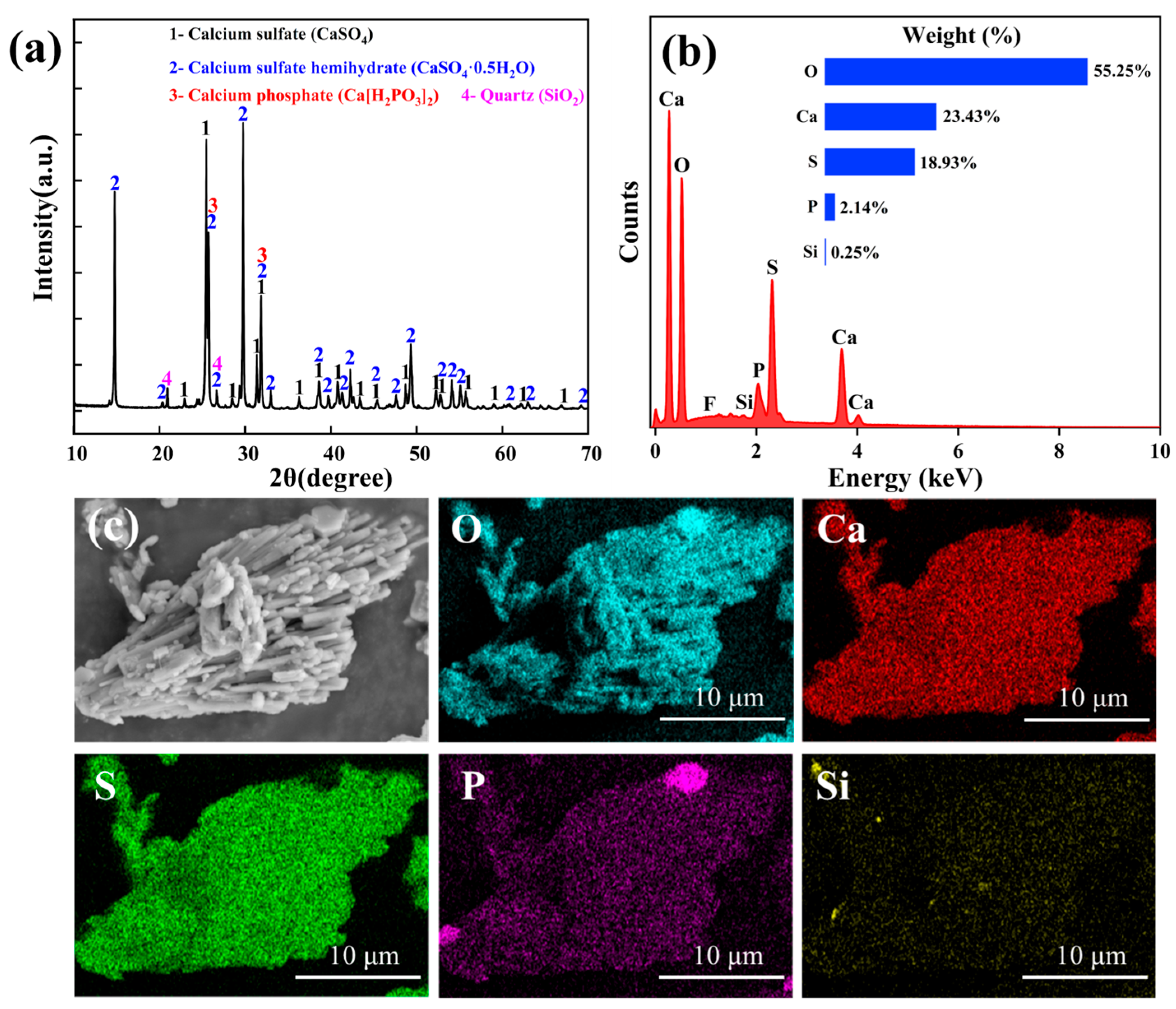 Sustainability 16 07796 g001