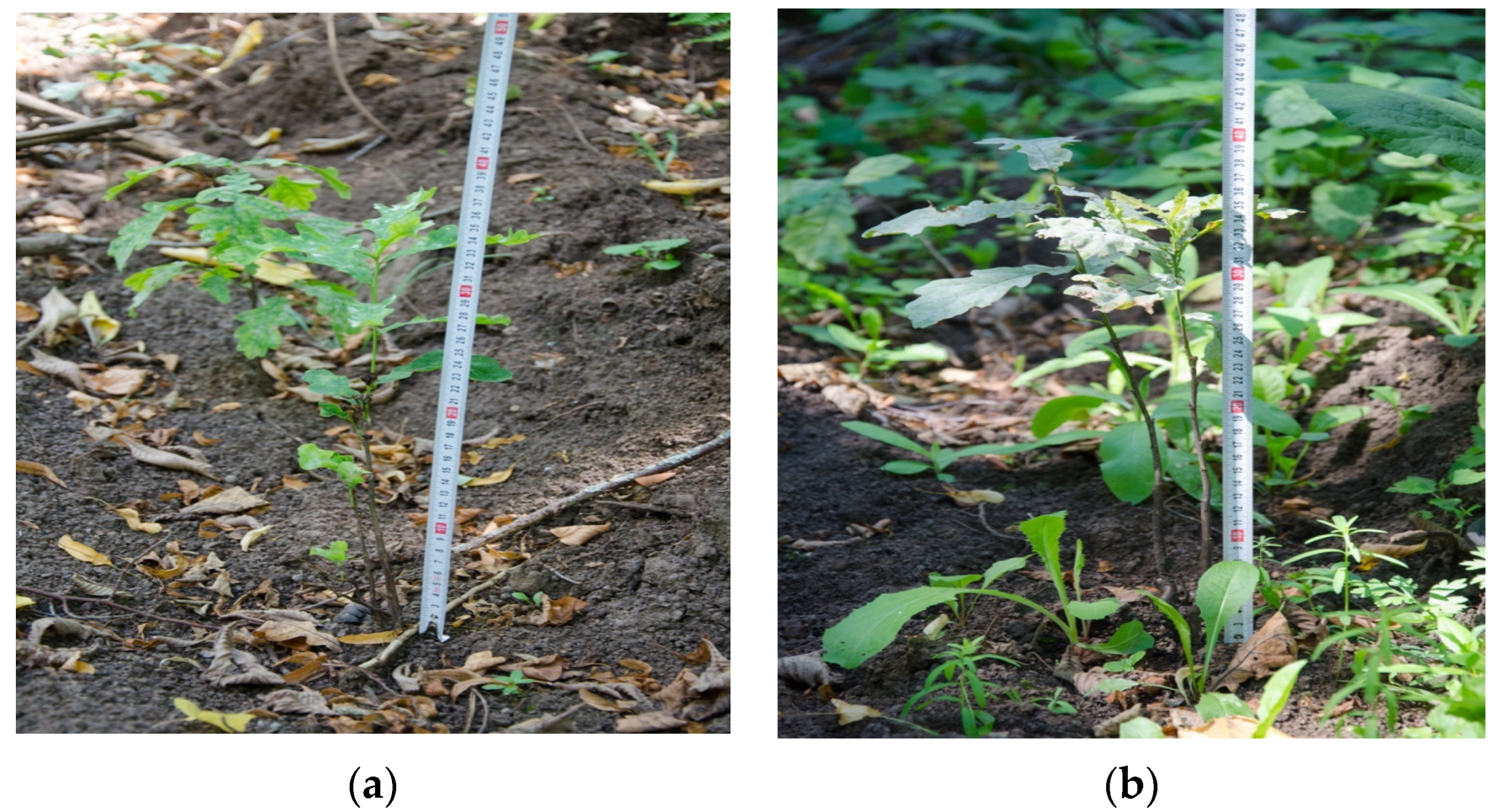 Sustainability 16 07837 g004 Sustainability 16 07837 g004