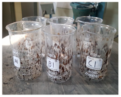 Sustainability 16 07840 i001