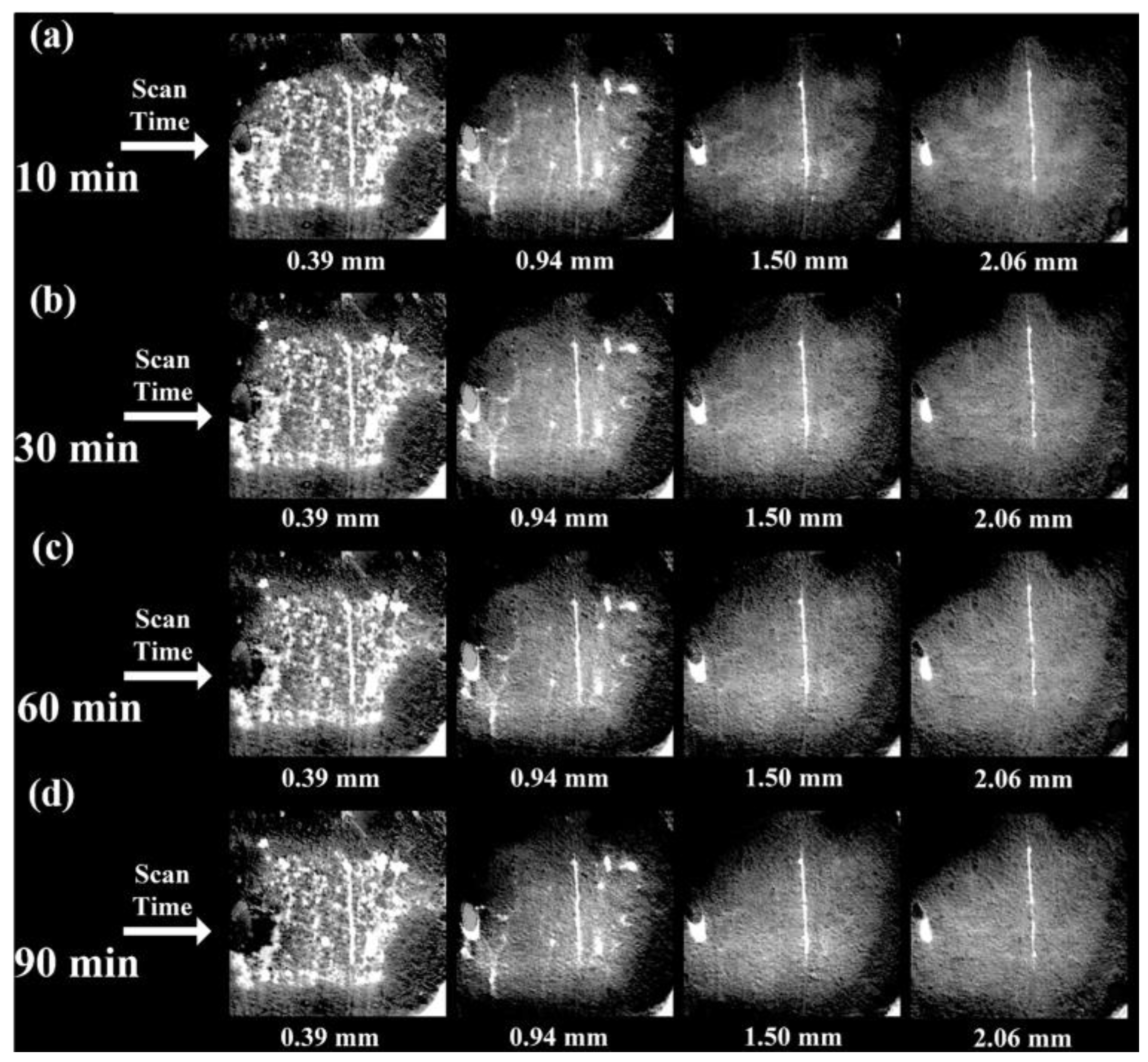 Sustainability 16 07841 g007