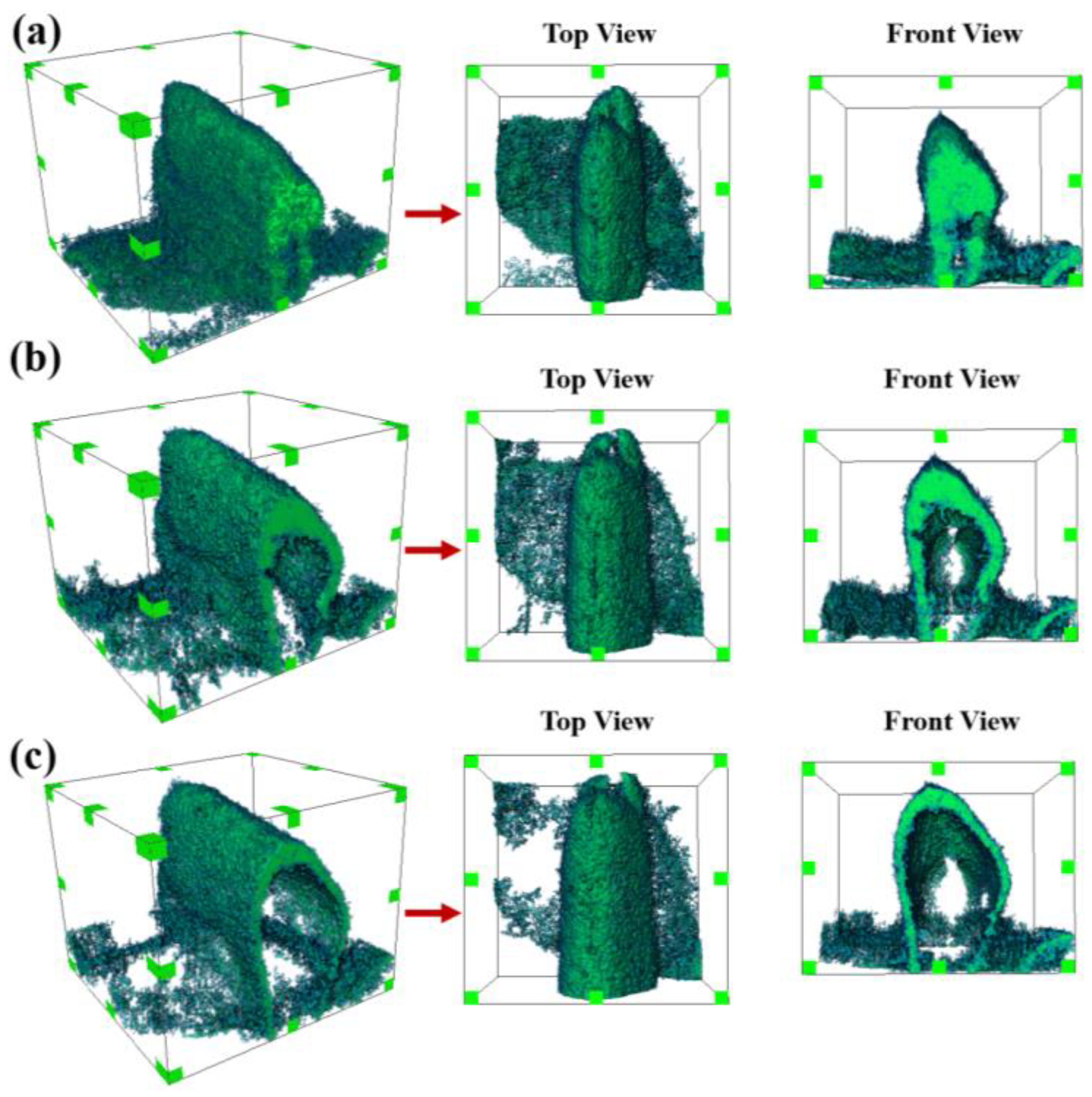 Sustainability 16 07841 g012