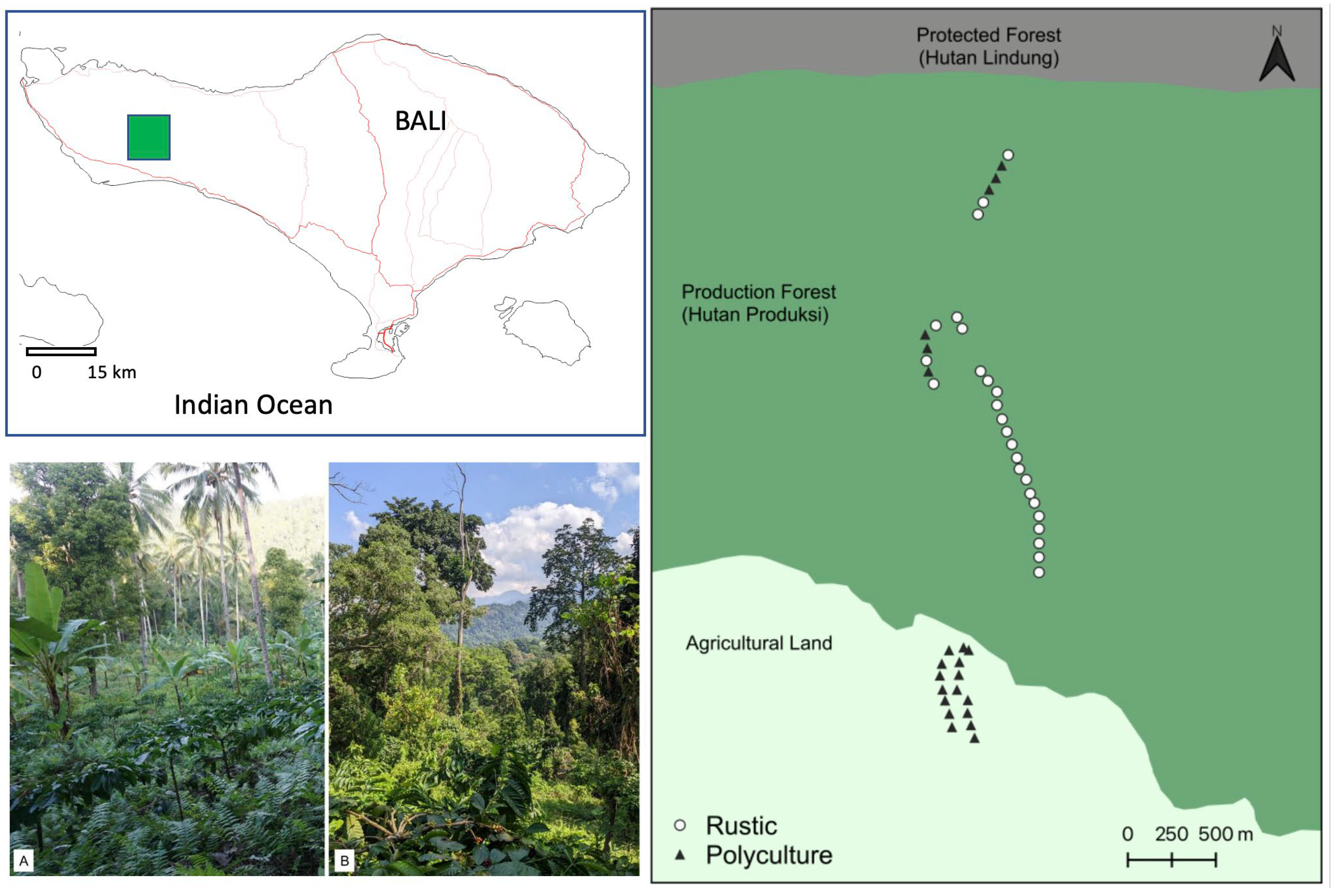 Sustainability 16 07874 g002