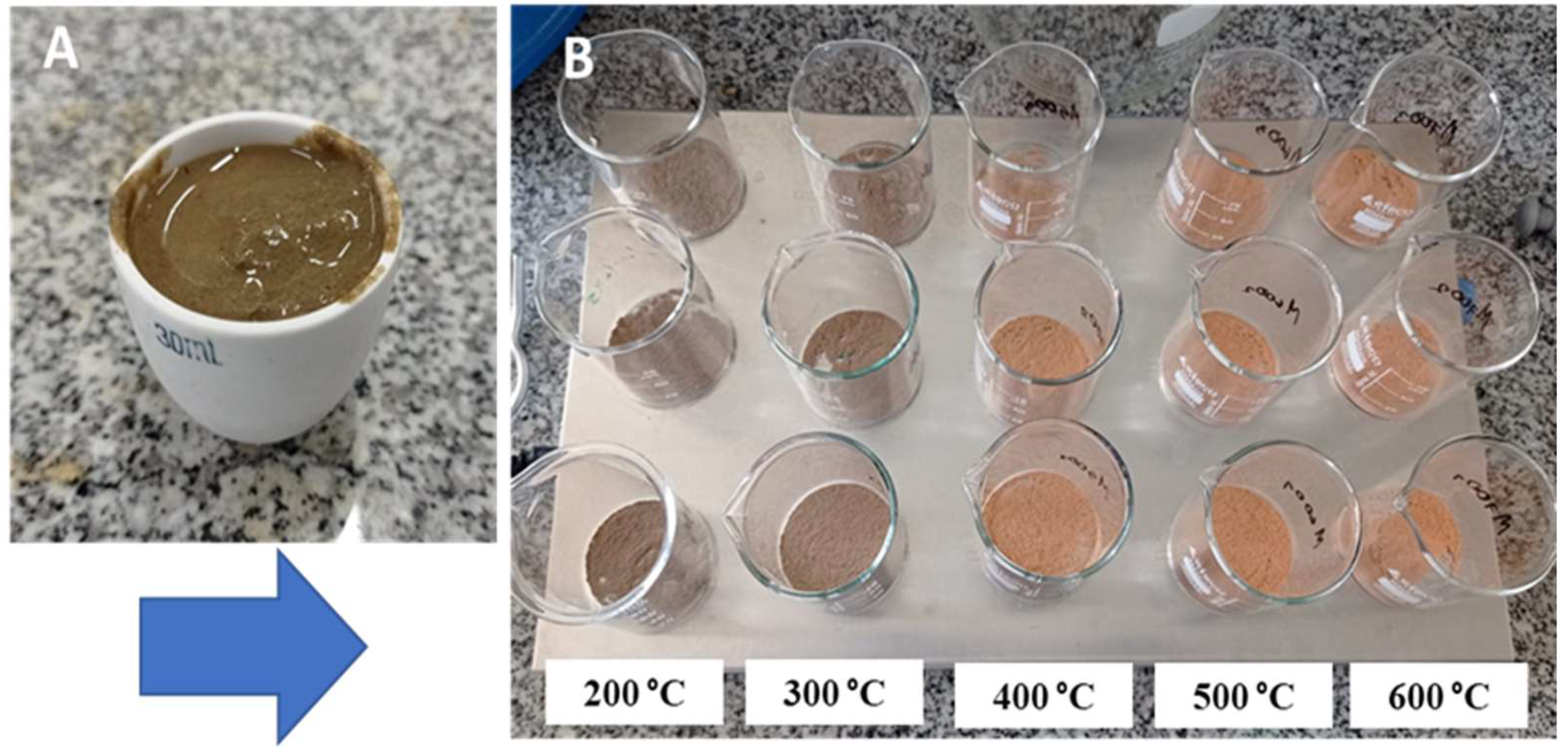 Sustainability 16 07876 g002