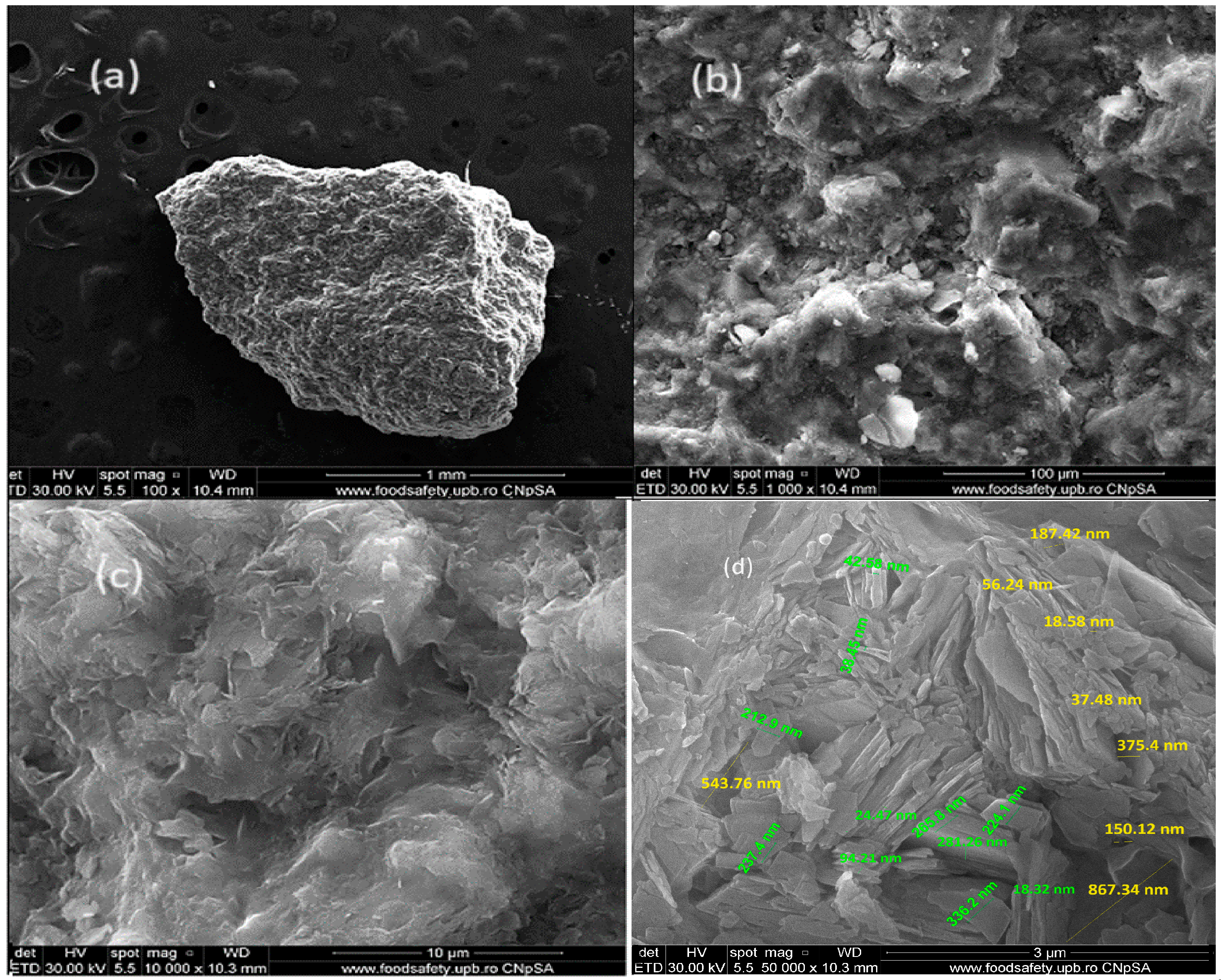 Sustainability 16 07888 g002