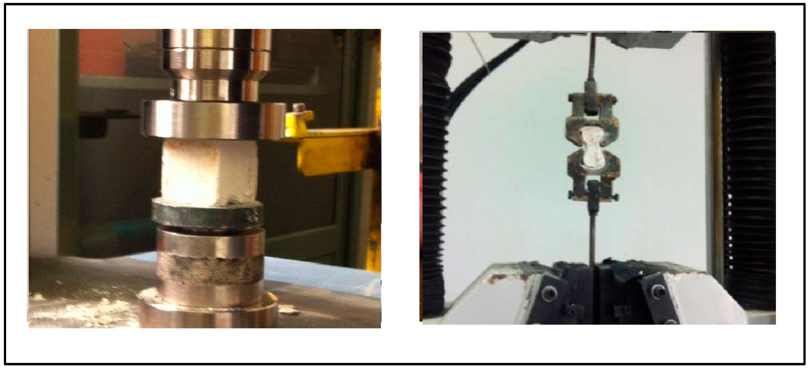 Sustainability 16 07889 g004