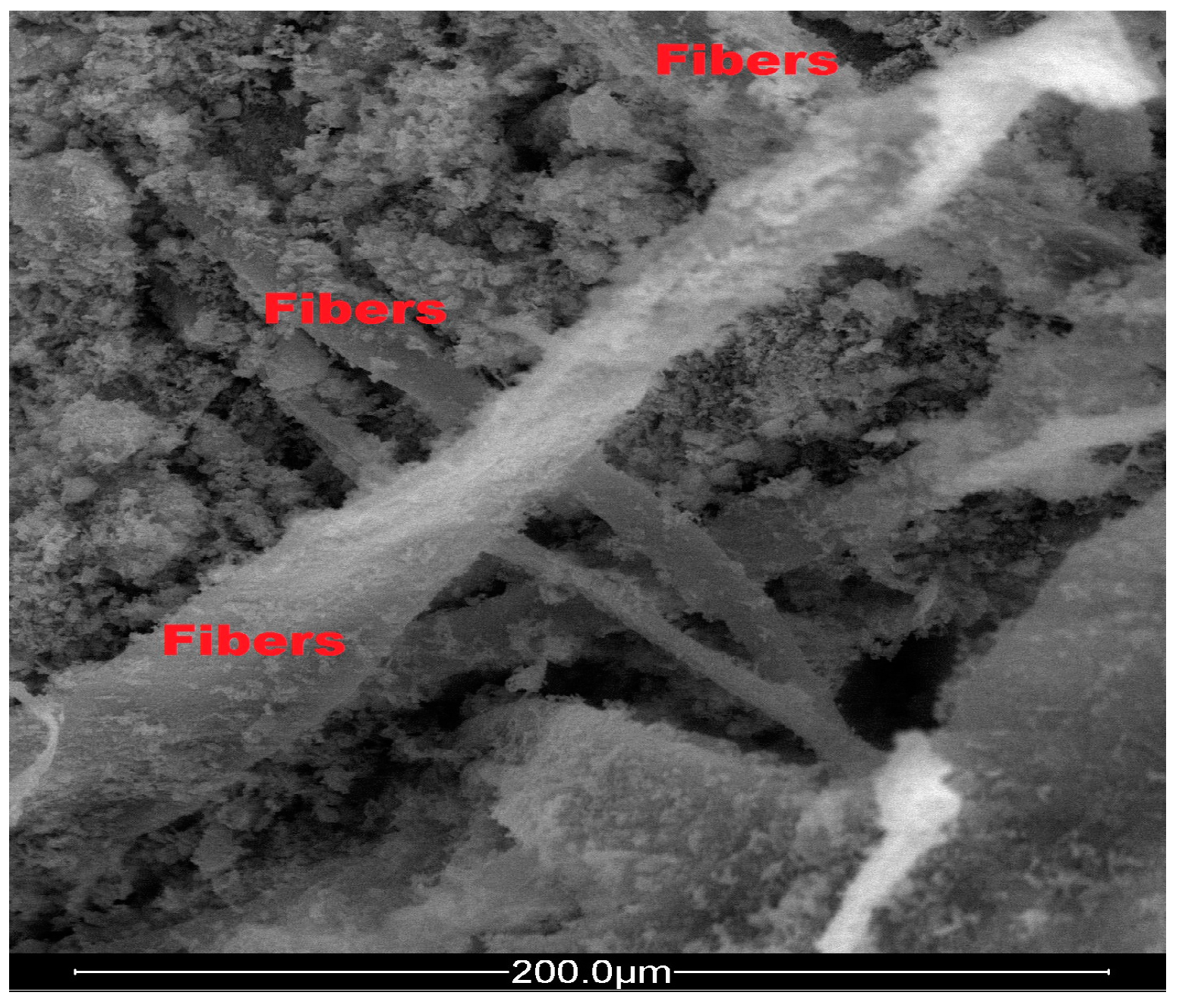 Sustainability 16 07889 g010