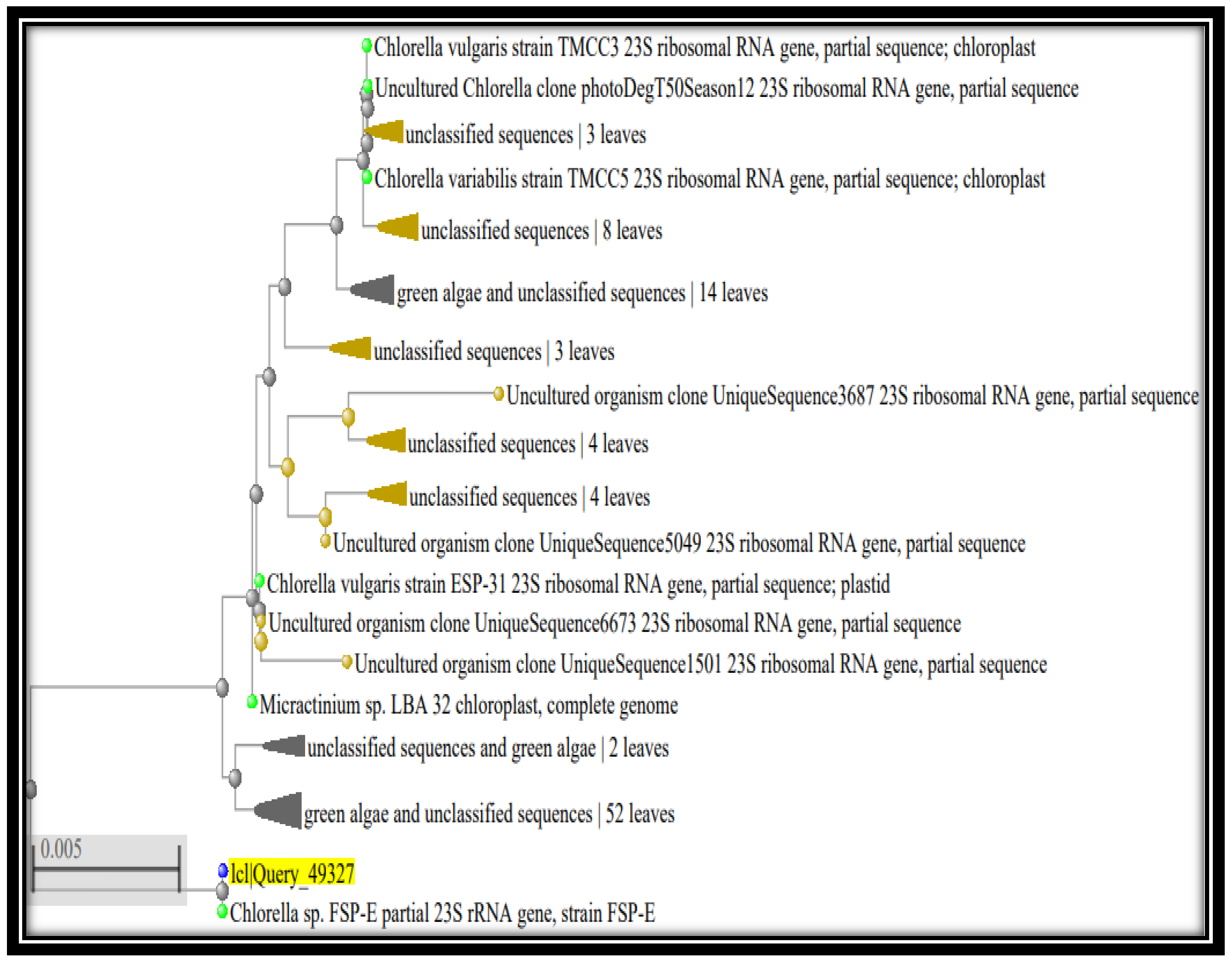 Sustainability 16 07896 g002