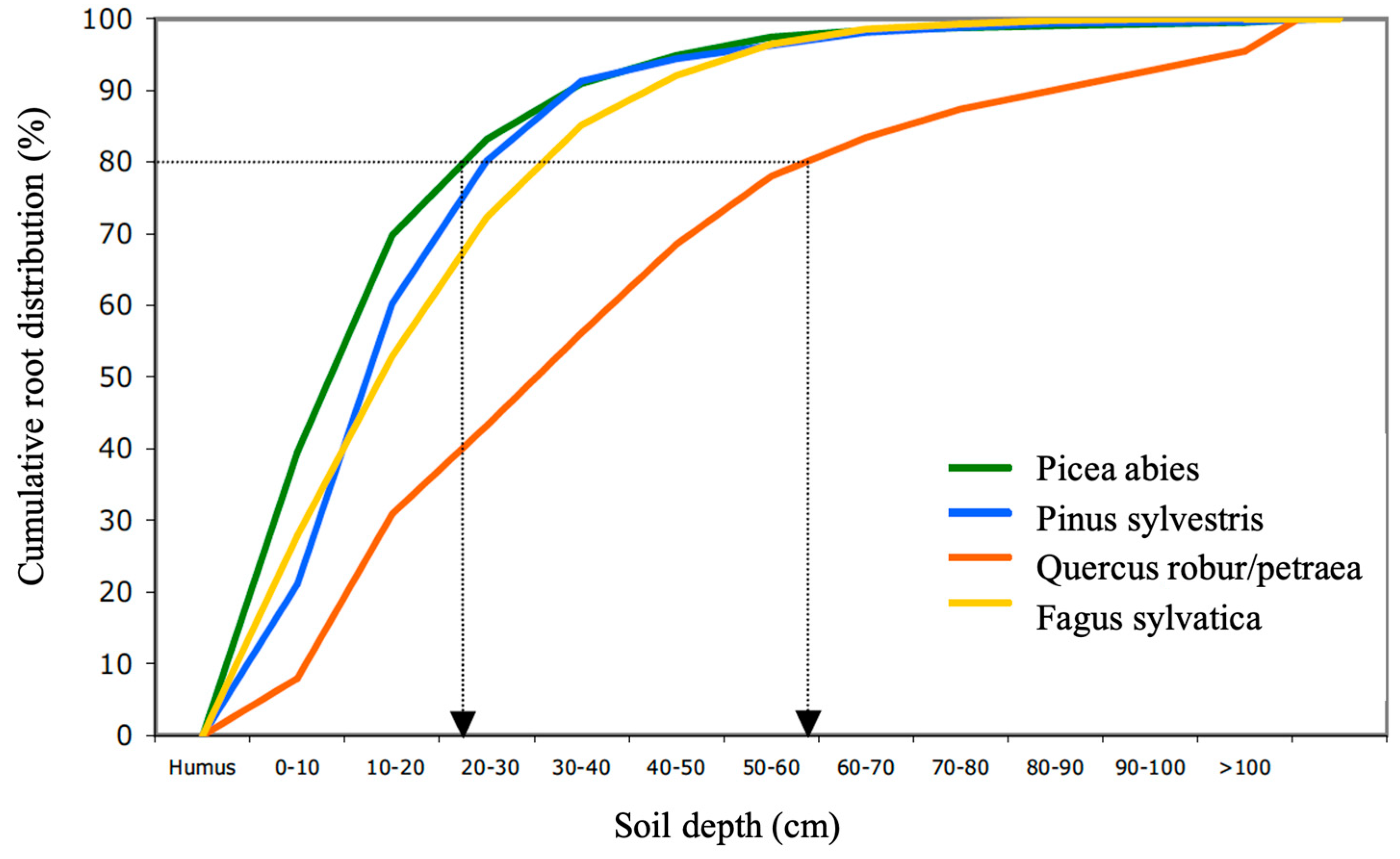 Sustainability 16 07980 g001