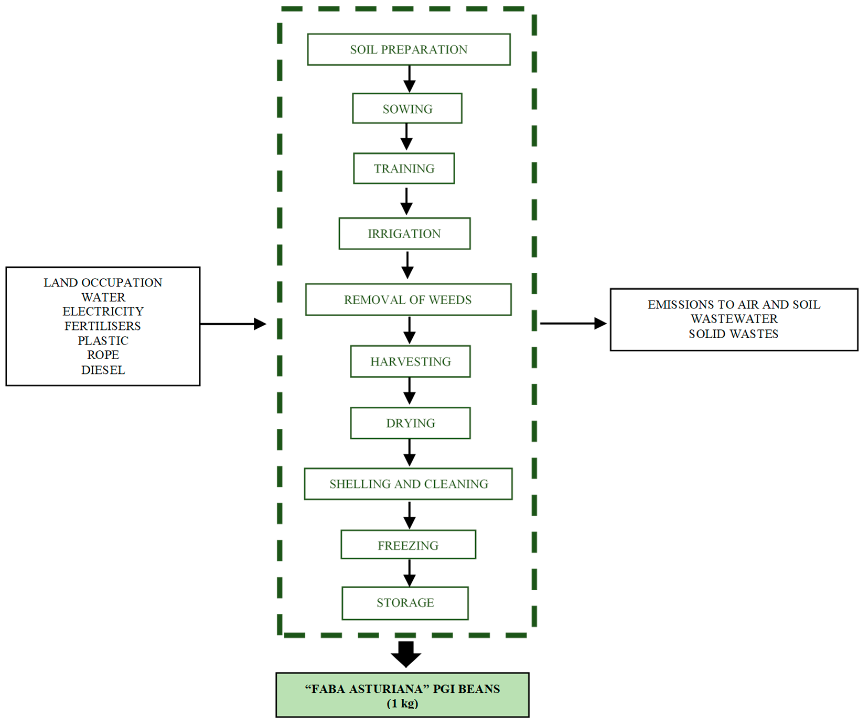 Sustainability 16 08024 g001