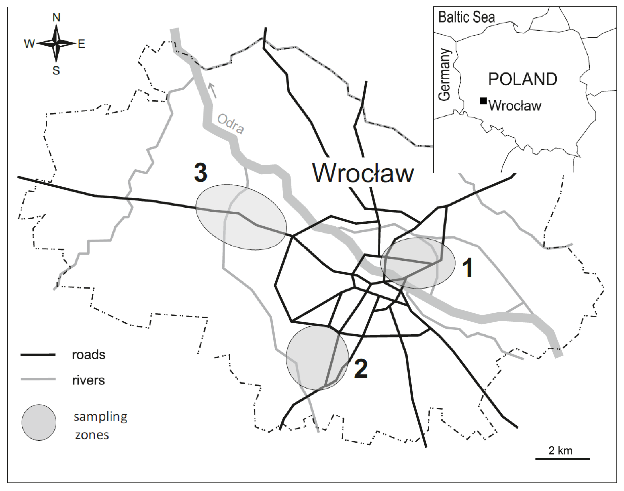 Sustainability 16 08040 g001