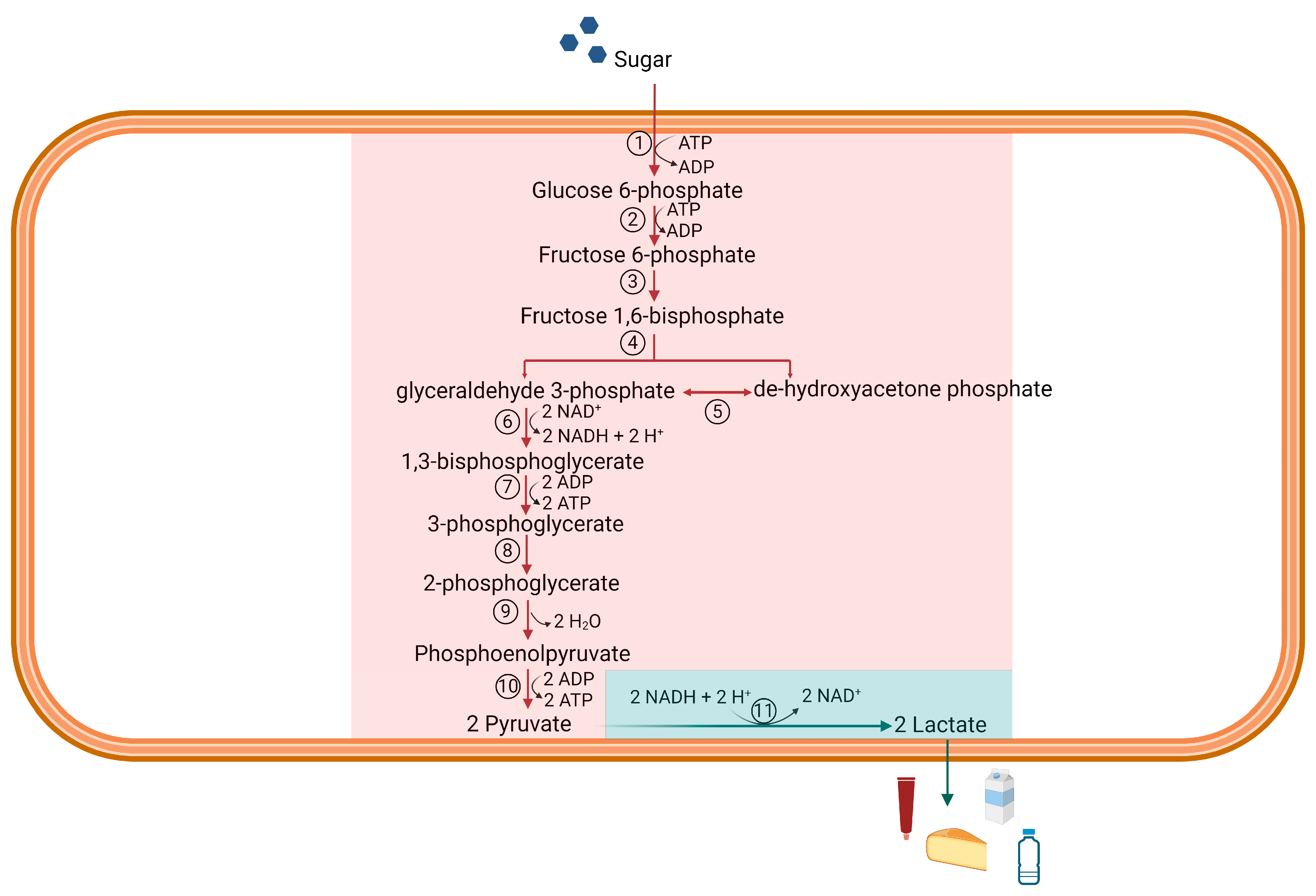Sustainability 16 08054 g001
