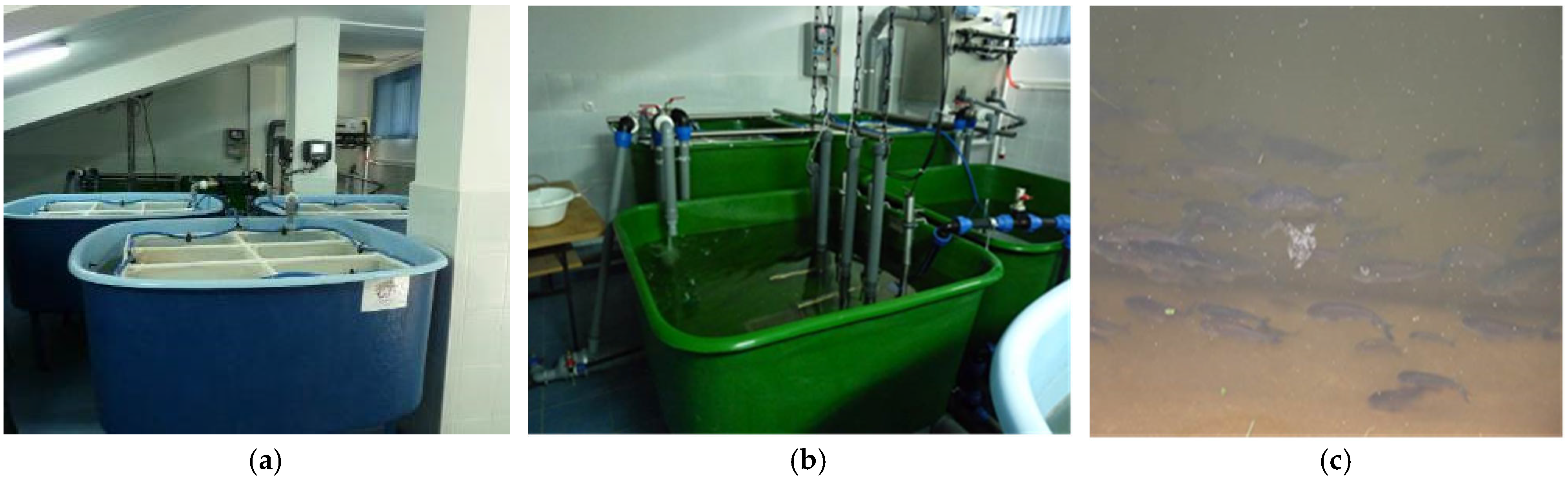 Sustainability 16 08055 g005
