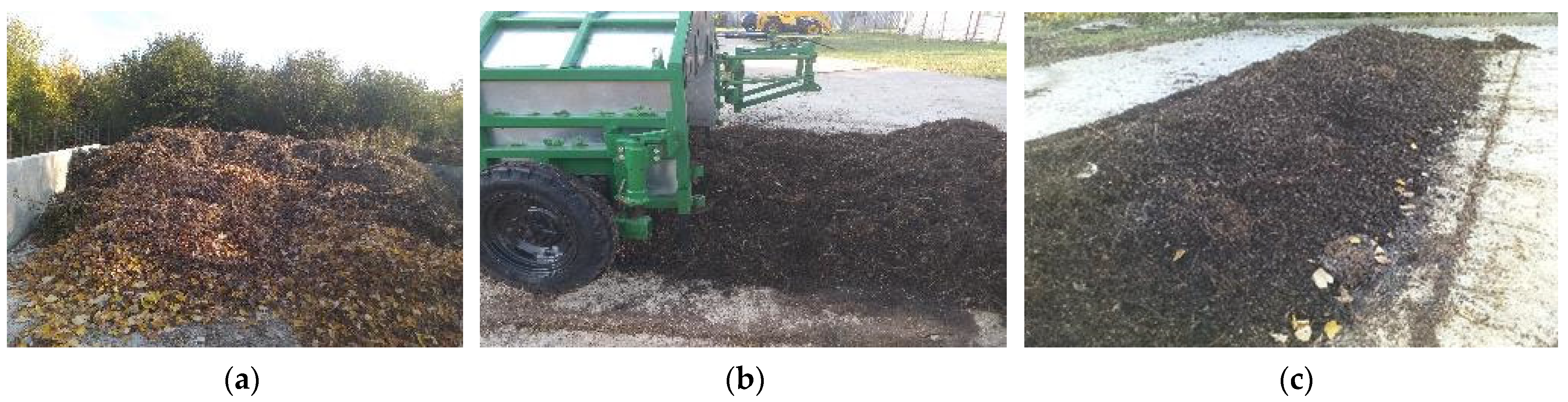 Sustainability 16 08055 g008