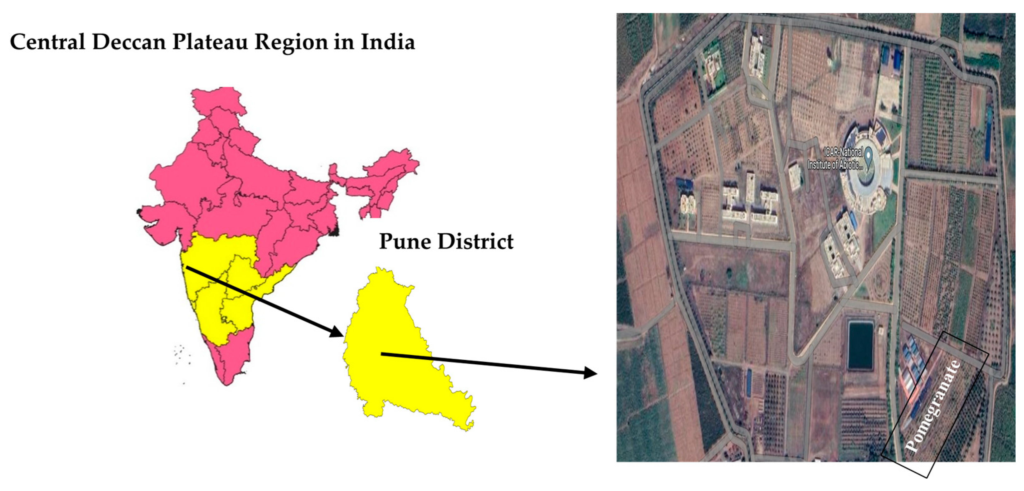 Sustainability 16 08099 g001
