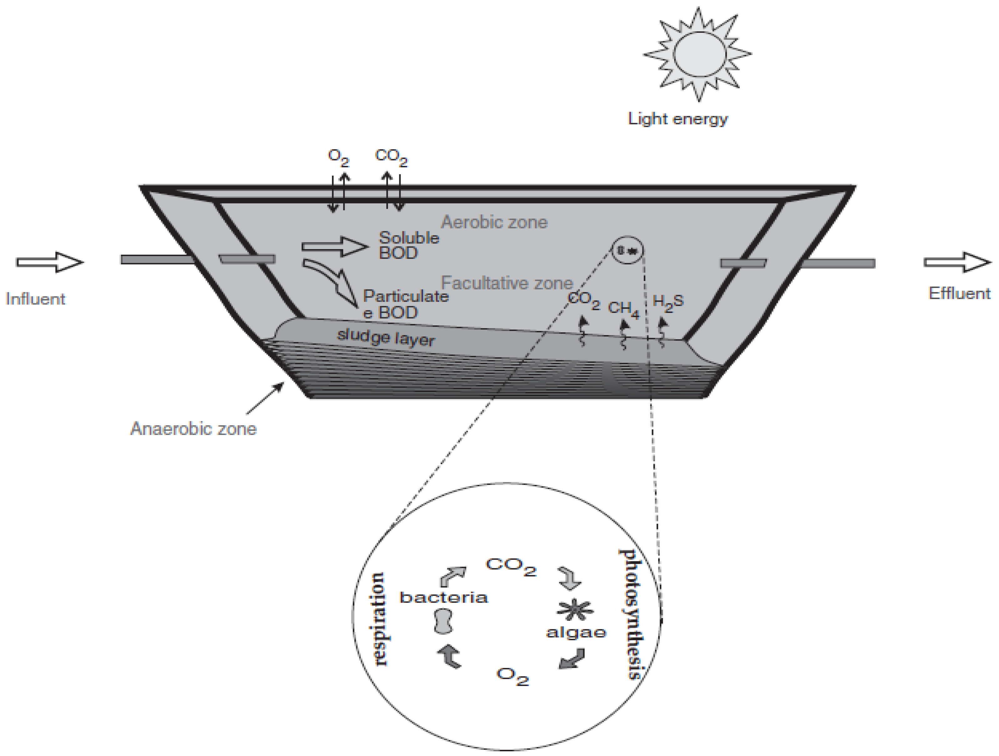 Sustainability 16 08334 g005