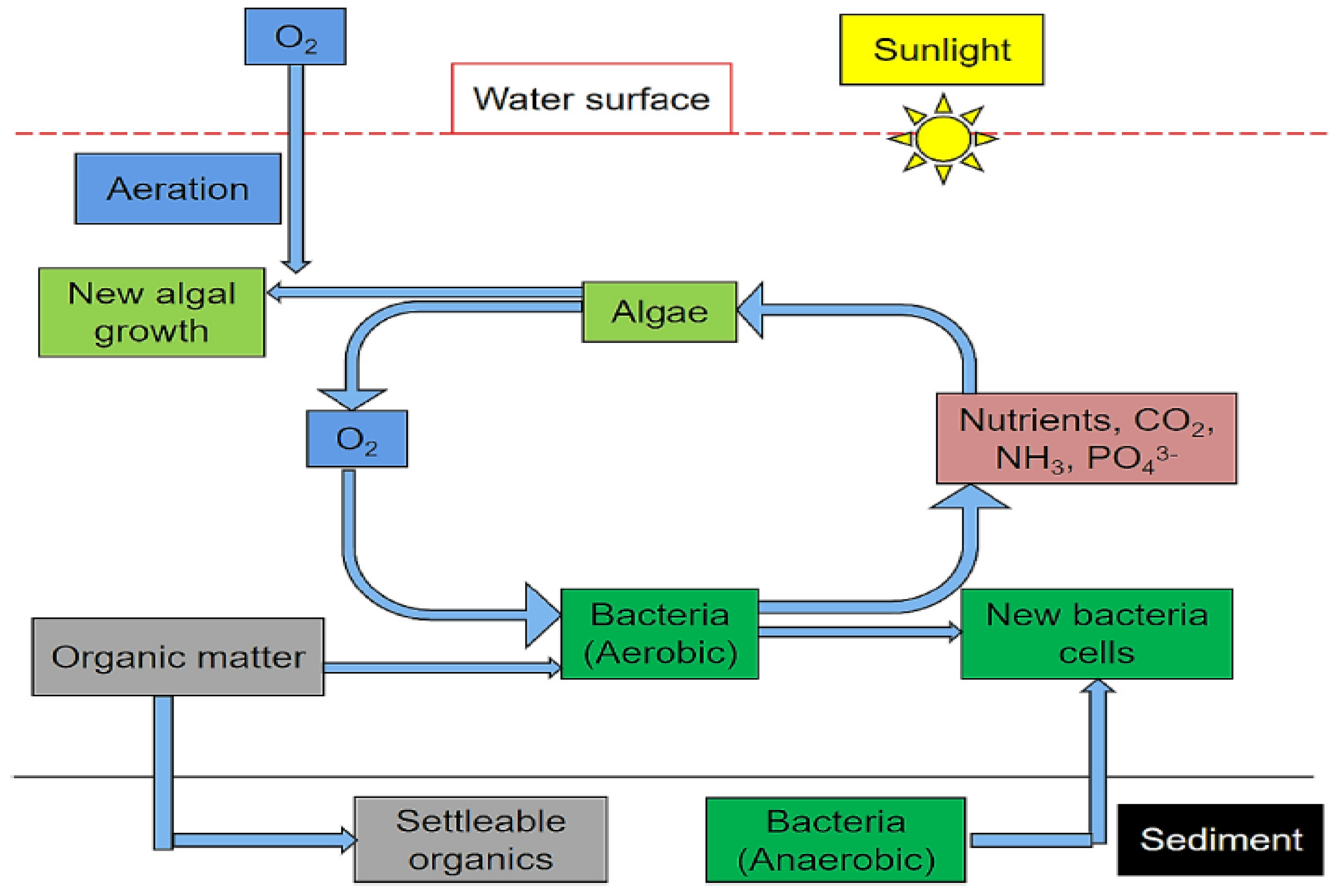 Sustainability 16 08334 g006