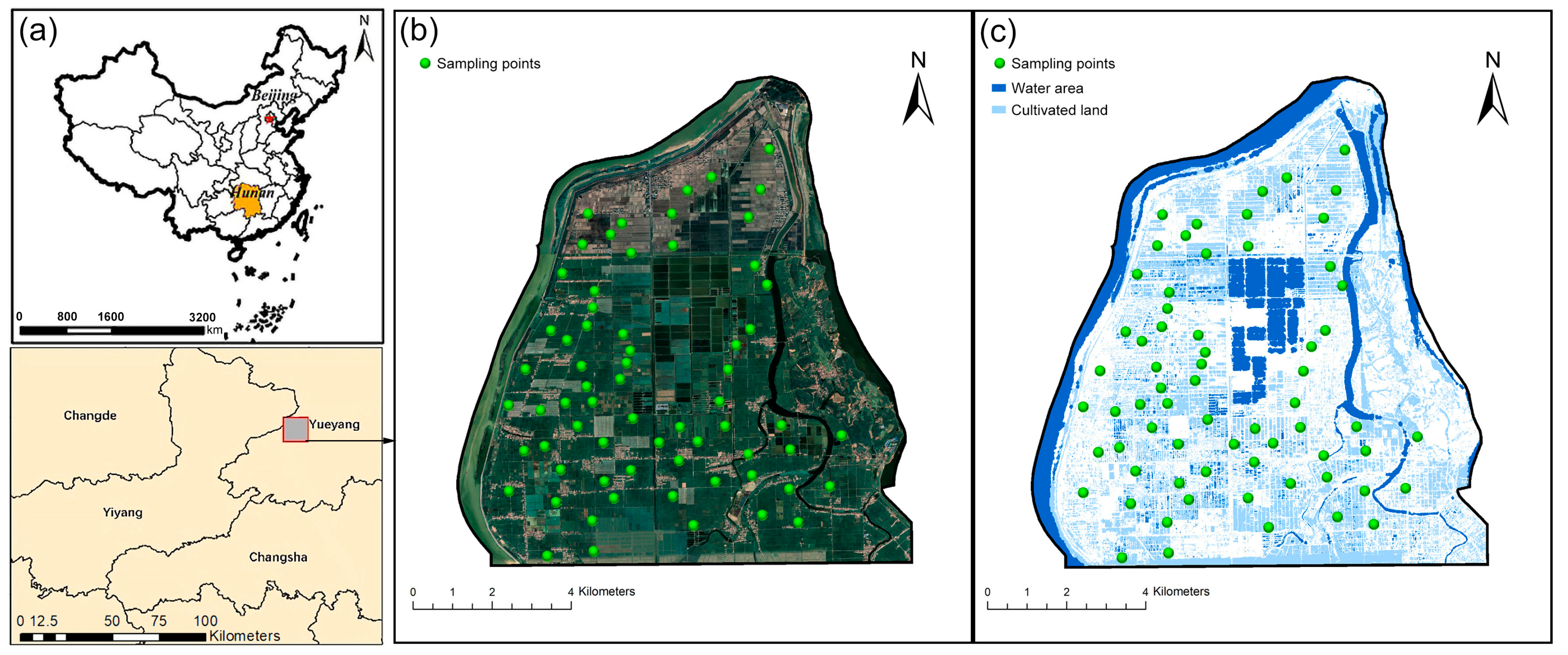 Sustainability 16 08341 g002