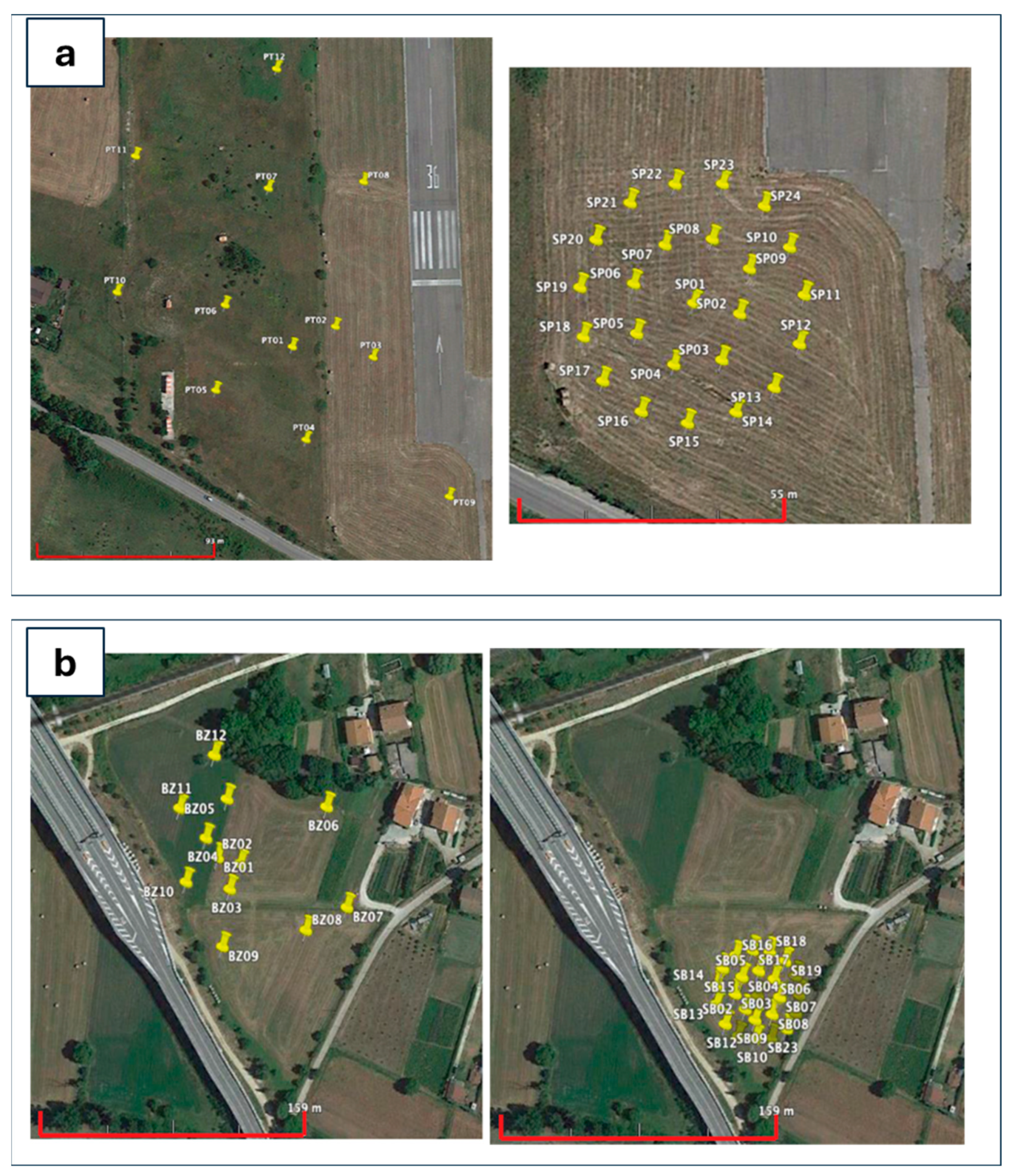 Sustainability 16 08401 g002