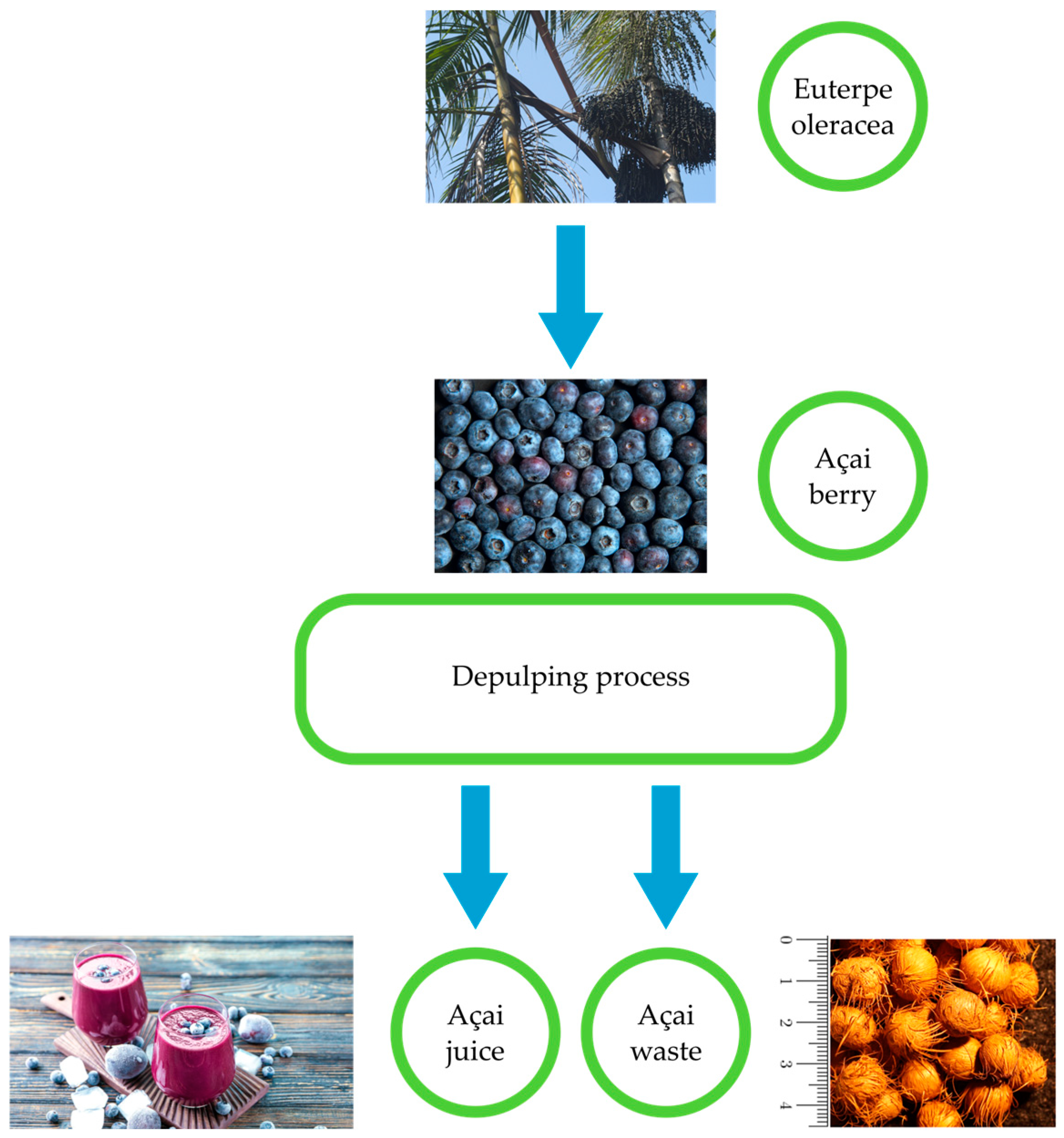Sustainability 16 08451 g001 Sustainability 16 08451 g001