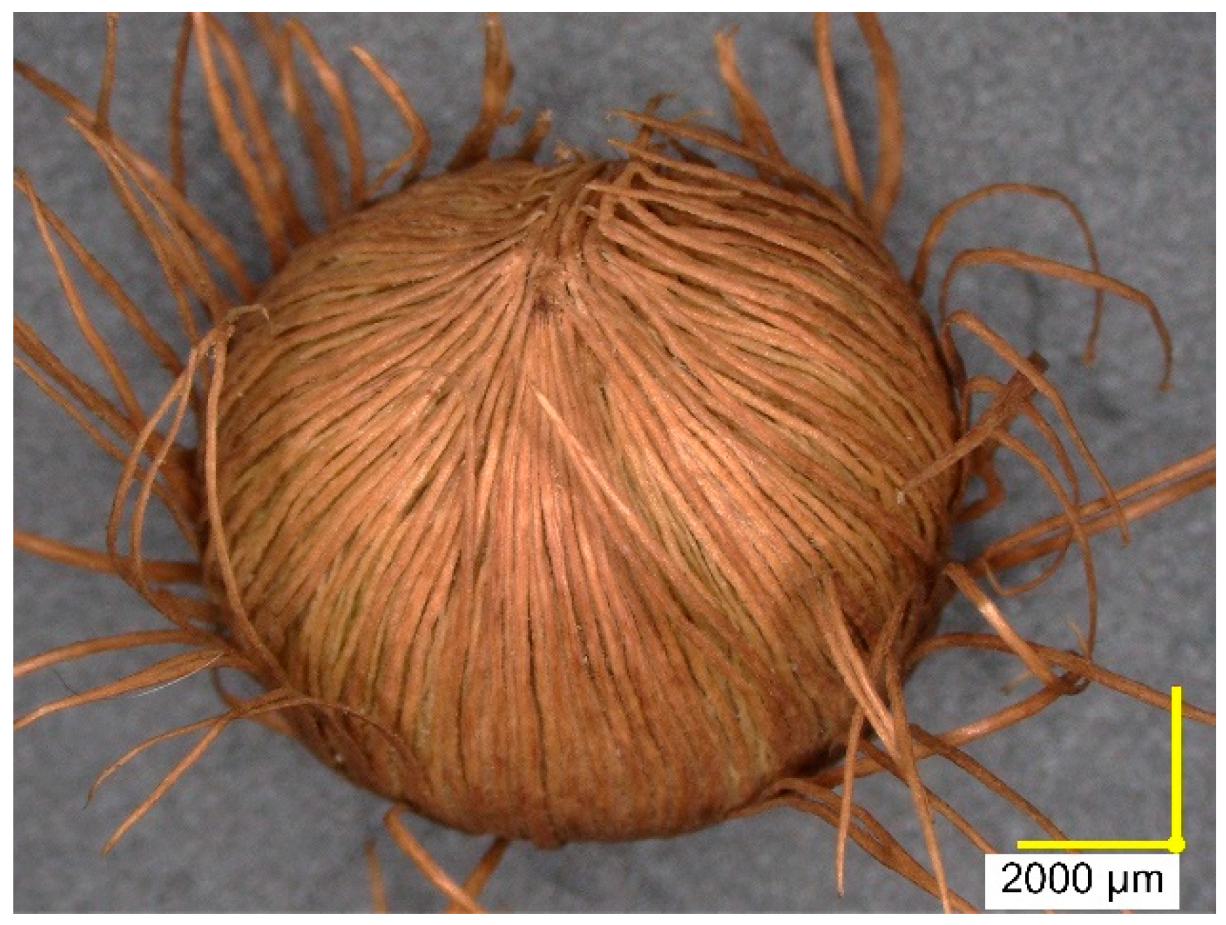 Sustainability 16 08451 g002 Sustainability 16 08451 g002