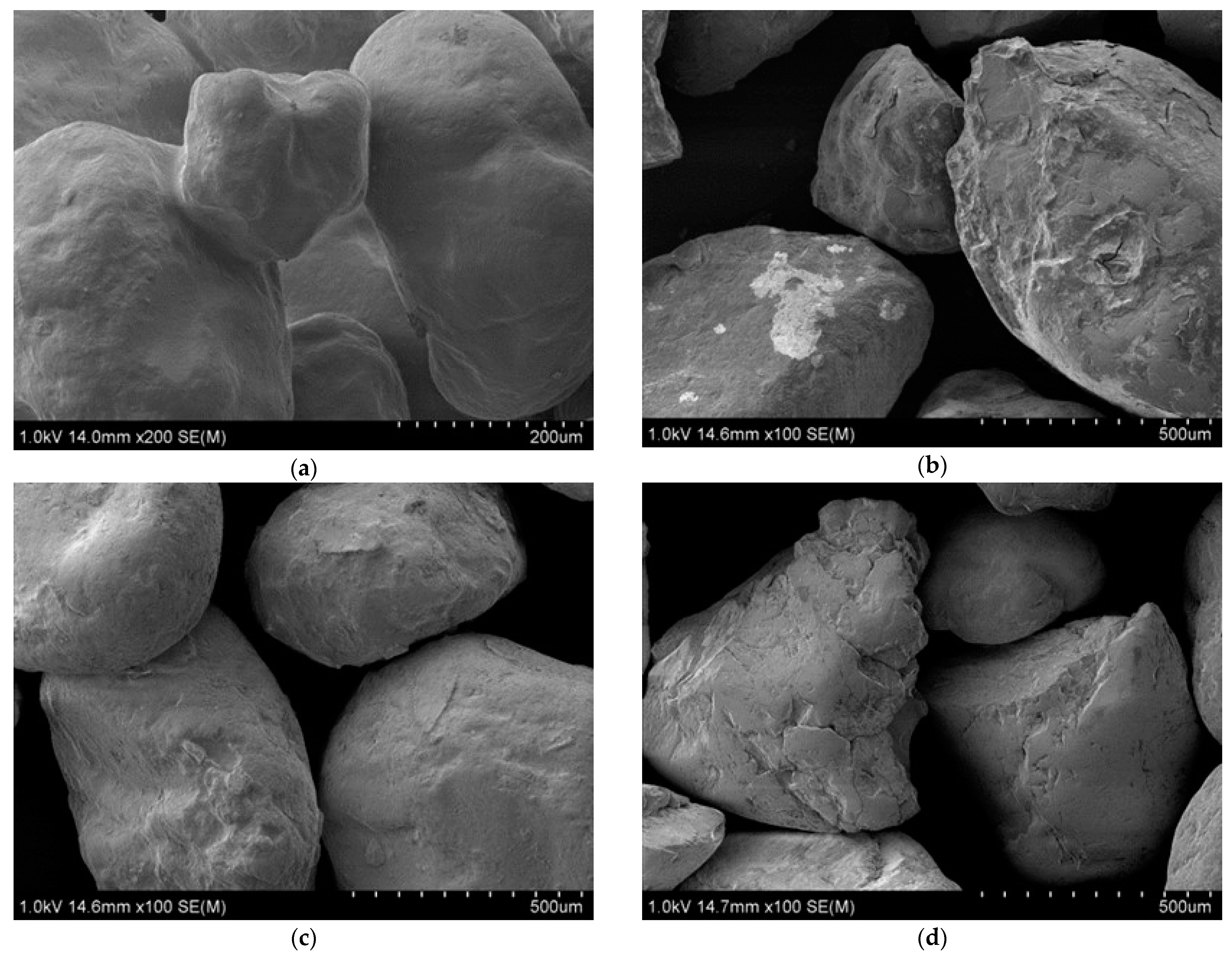 Sustainability 16 08462 g011