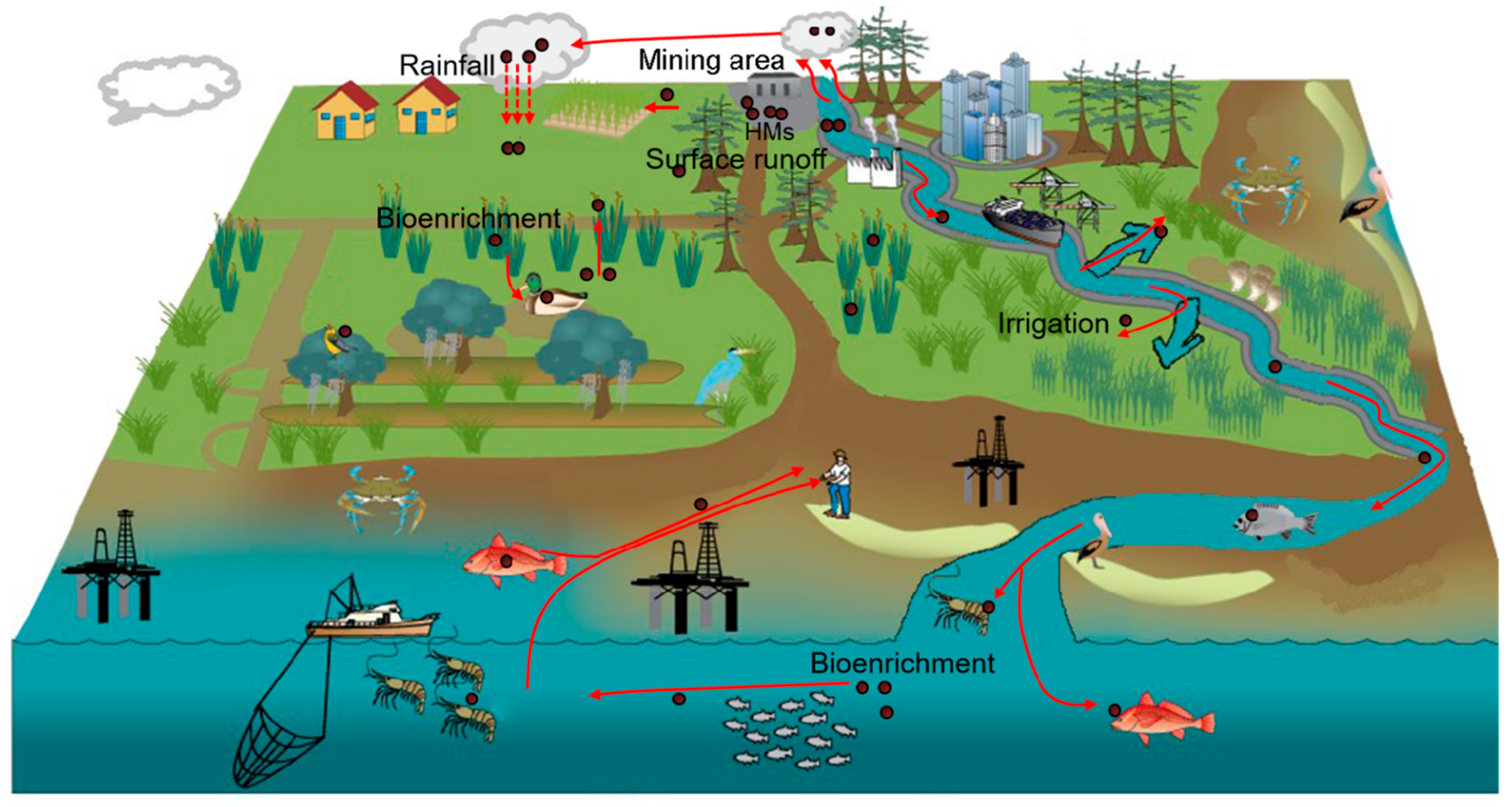 Sustainability 16 08464 g001