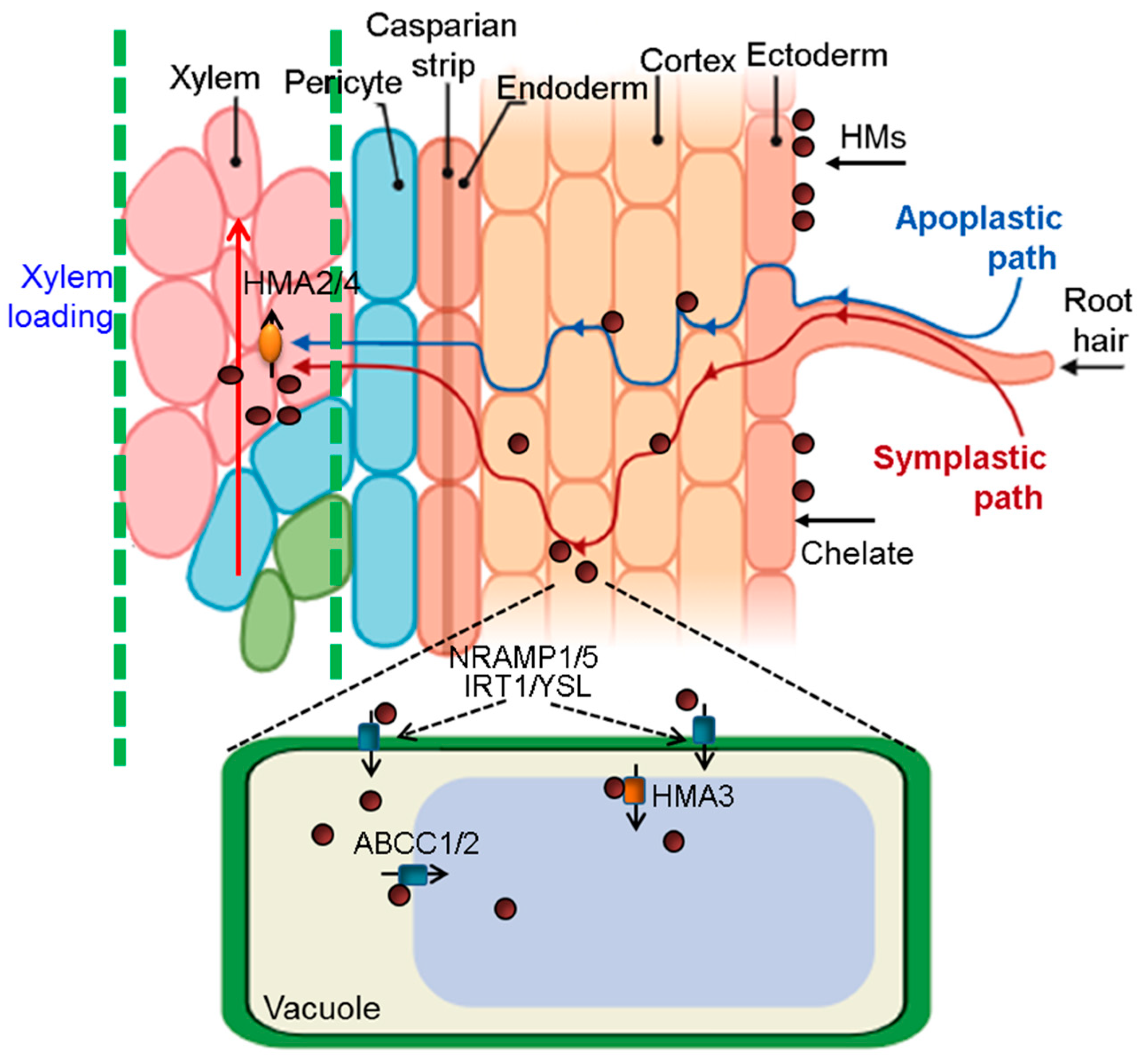 Sustainability 16 08464 g002
