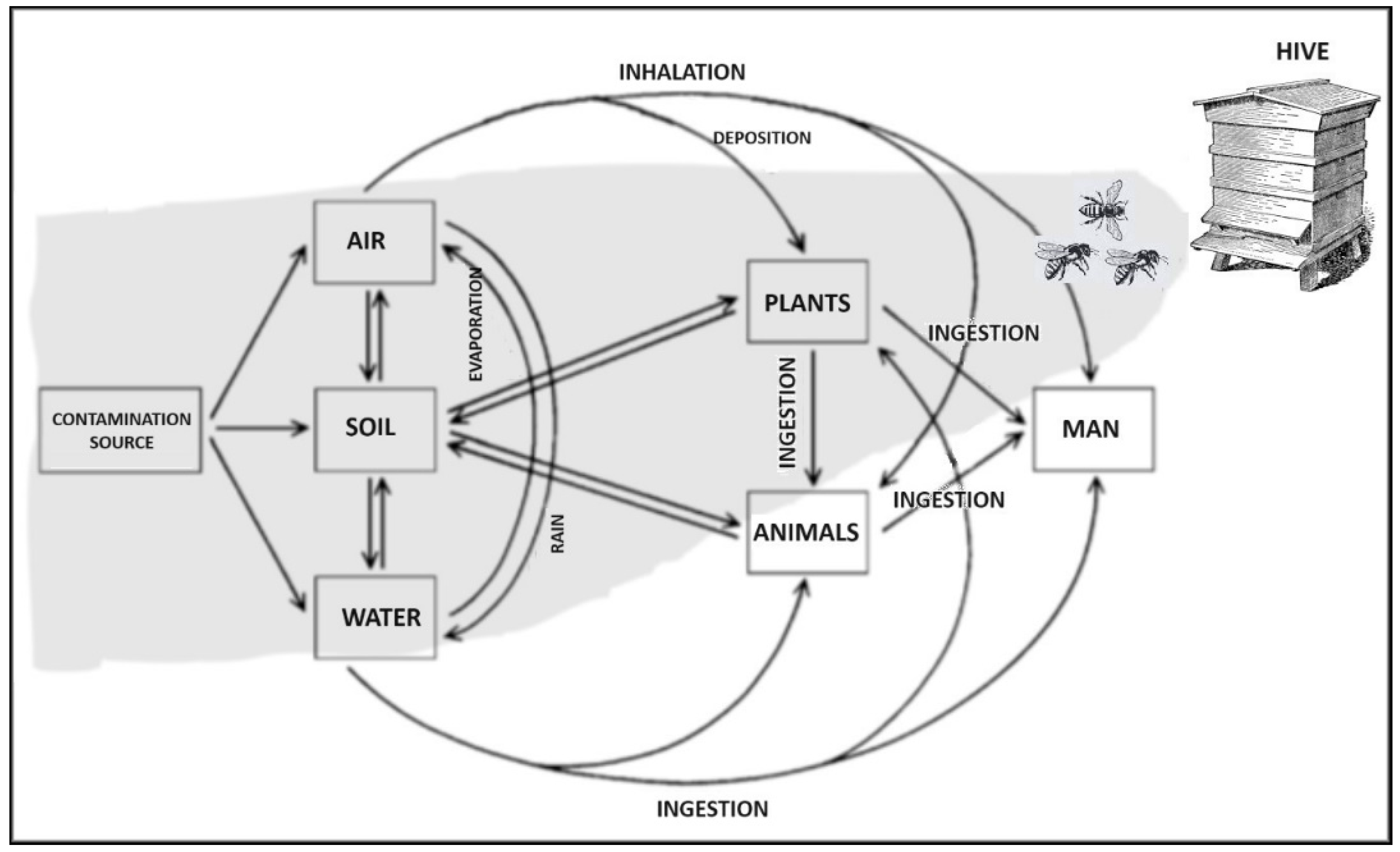 Sustainability 16 08526 g002 Sustainability 16 08526 g002