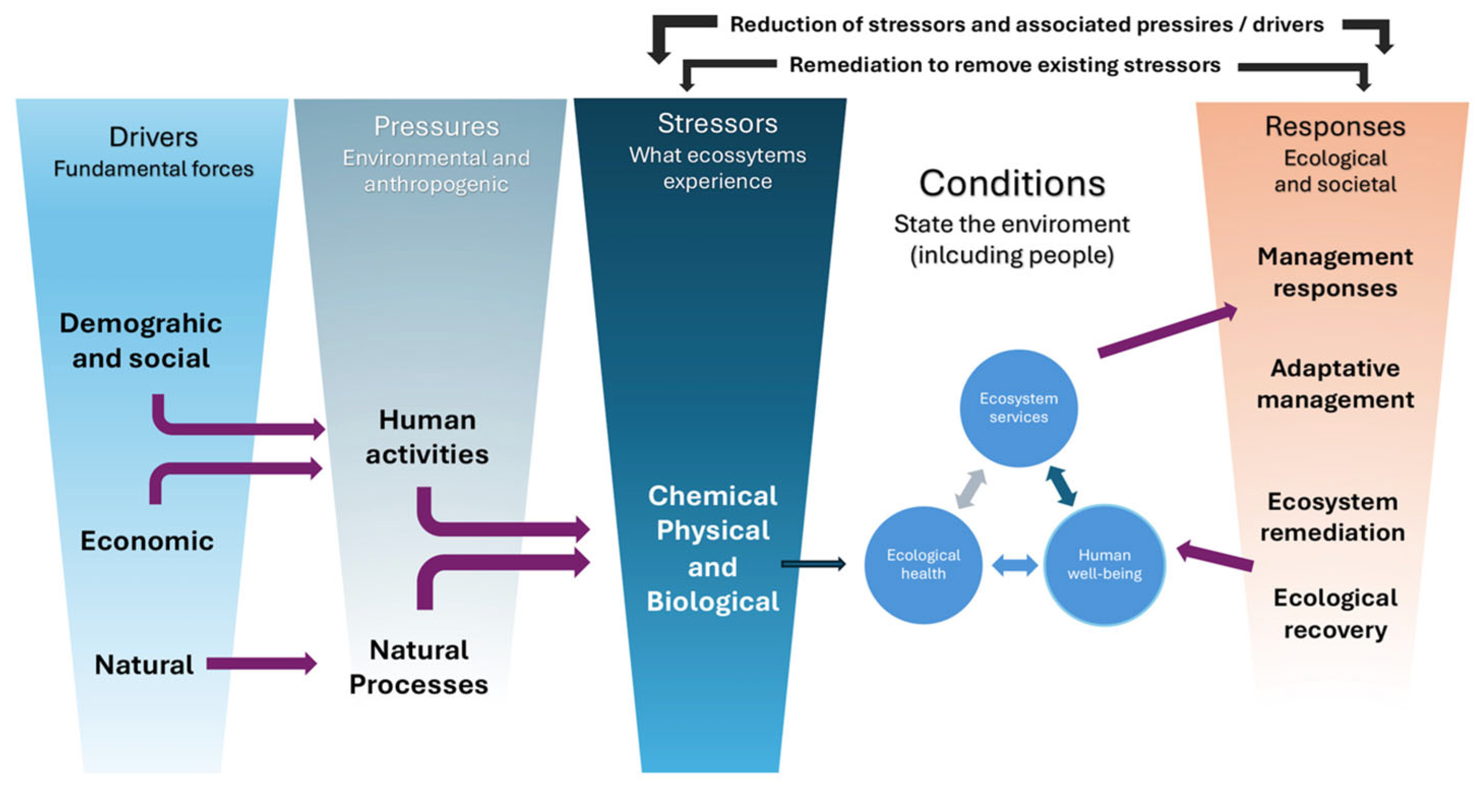 Sustainability 16 08601 g004