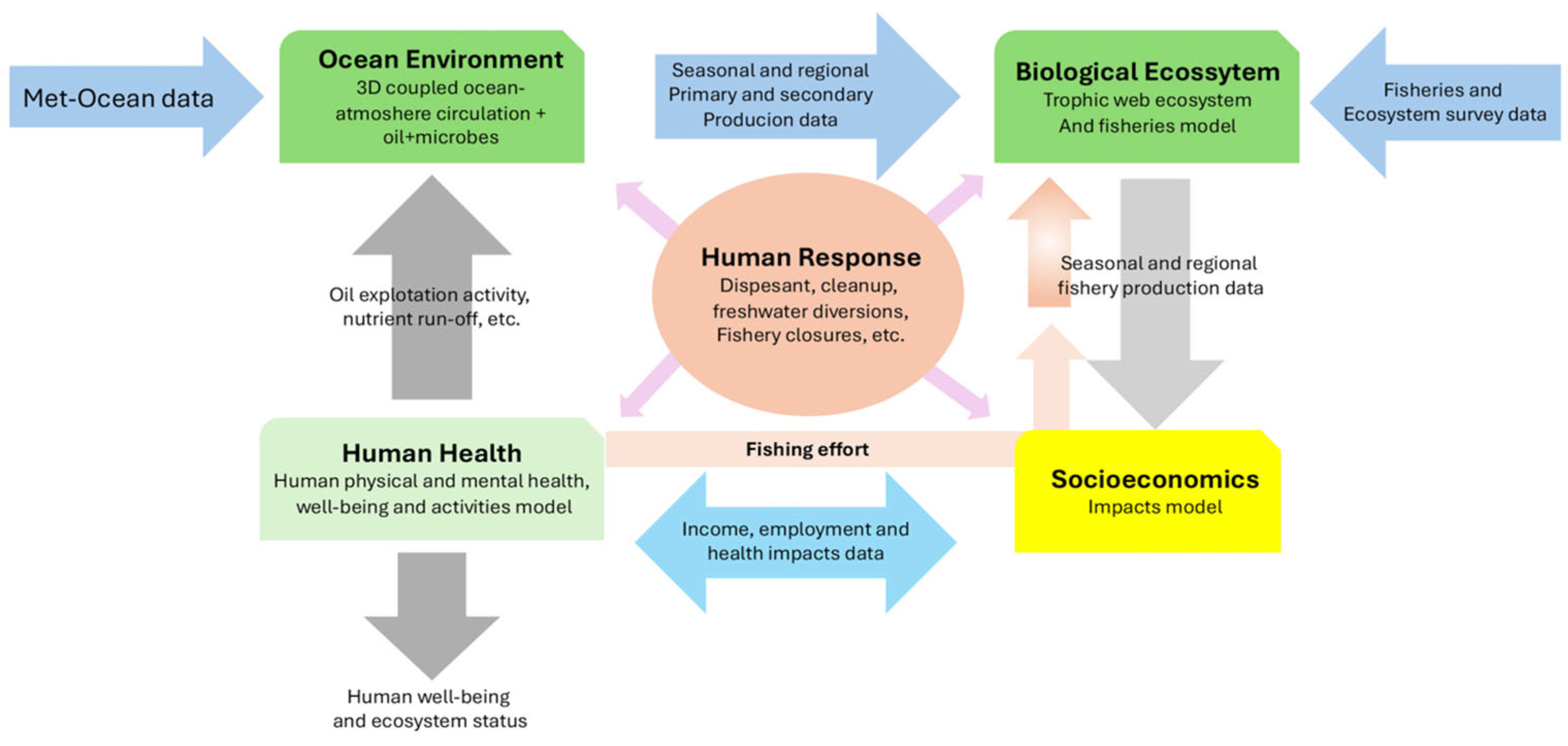 Sustainability 16 08601 g005