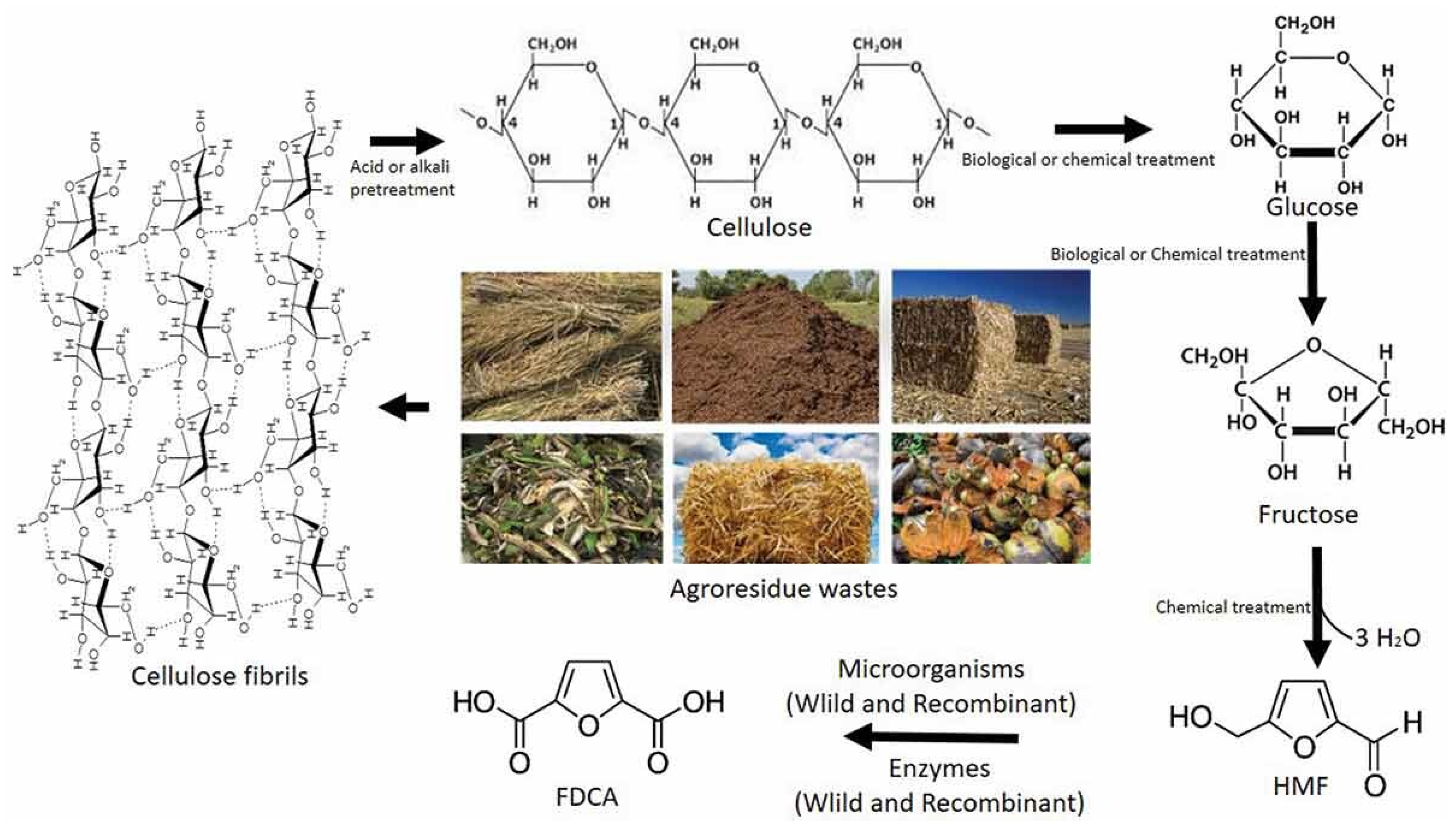 Sustainability 16 08632 g002